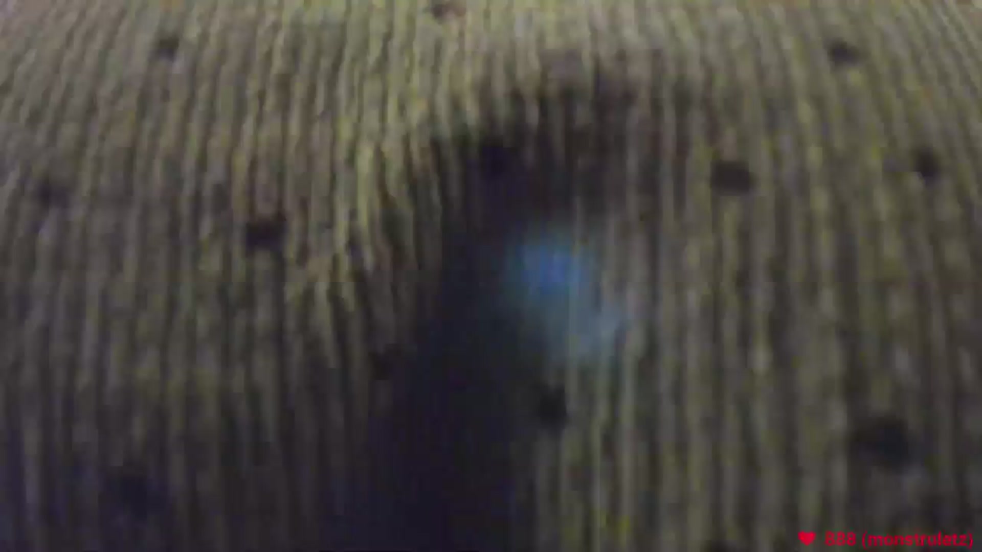 Gallery image thumbnail from happyendings_'s myfreecams stream on, 08/13/2024, 03:57 image 16 of 20