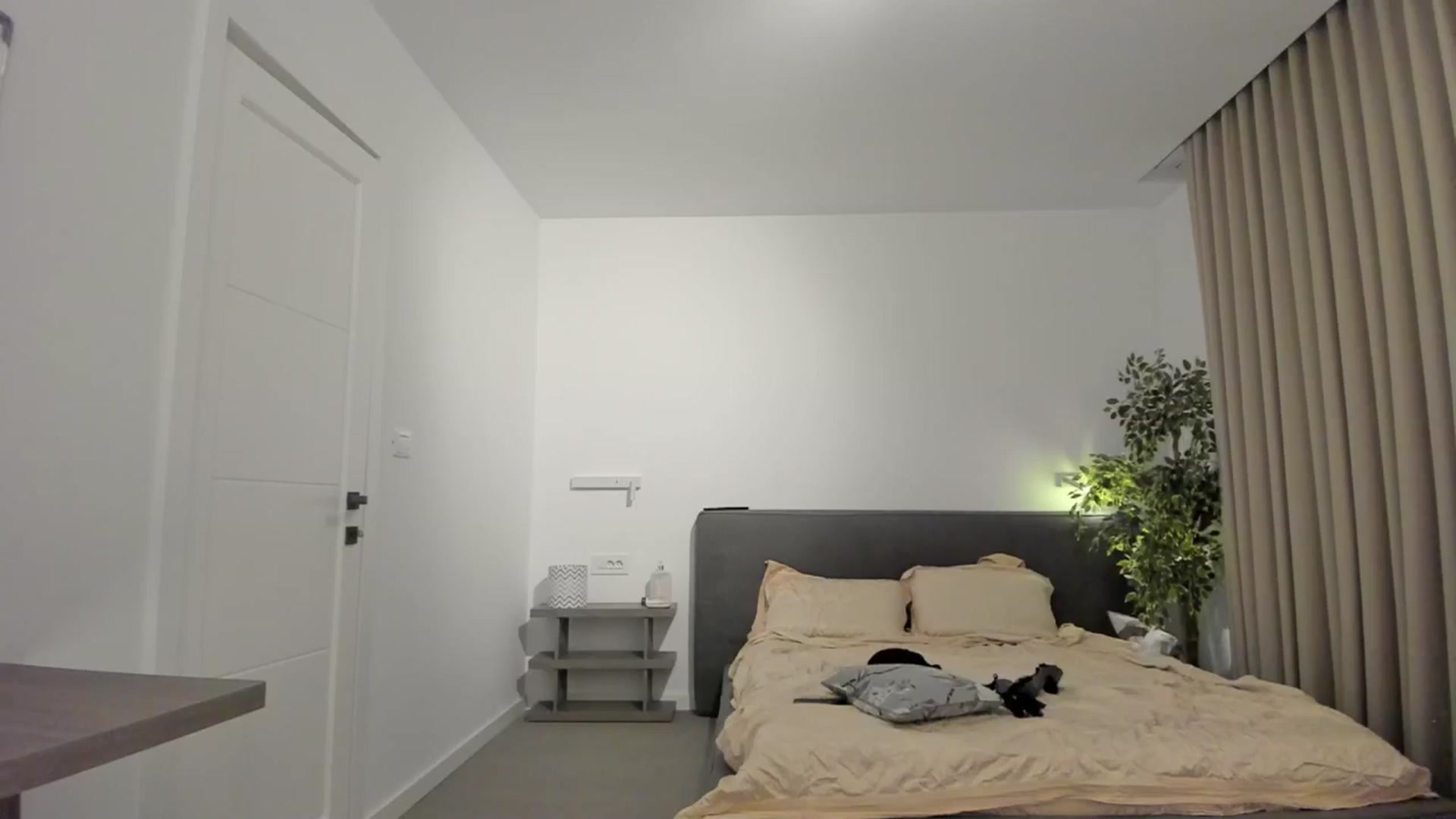 Gallery image thumbnail from happyendings_'s myfreecams stream on, 09/28/2024, 24:43 image 20 of 20