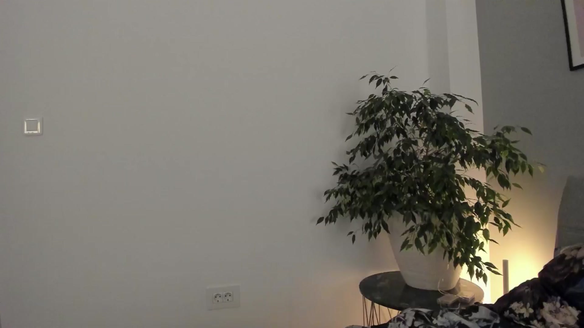 Gallery image thumbnail from happyendings_'s myfreecams stream on, 01/09/2025, 05:46 image 6 of 20