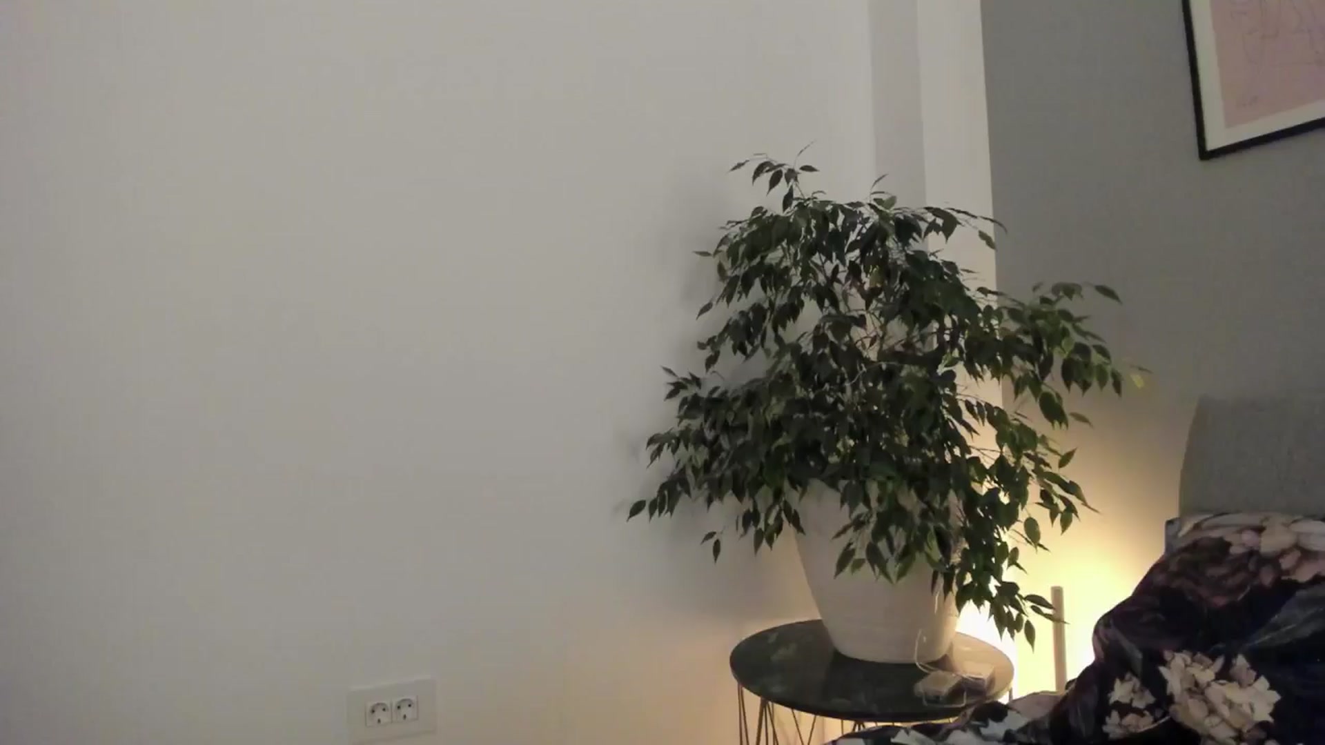 Gallery image thumbnail from happyendings_'s myfreecams stream on, 01/09/2025, 05:46 image 12 of 20