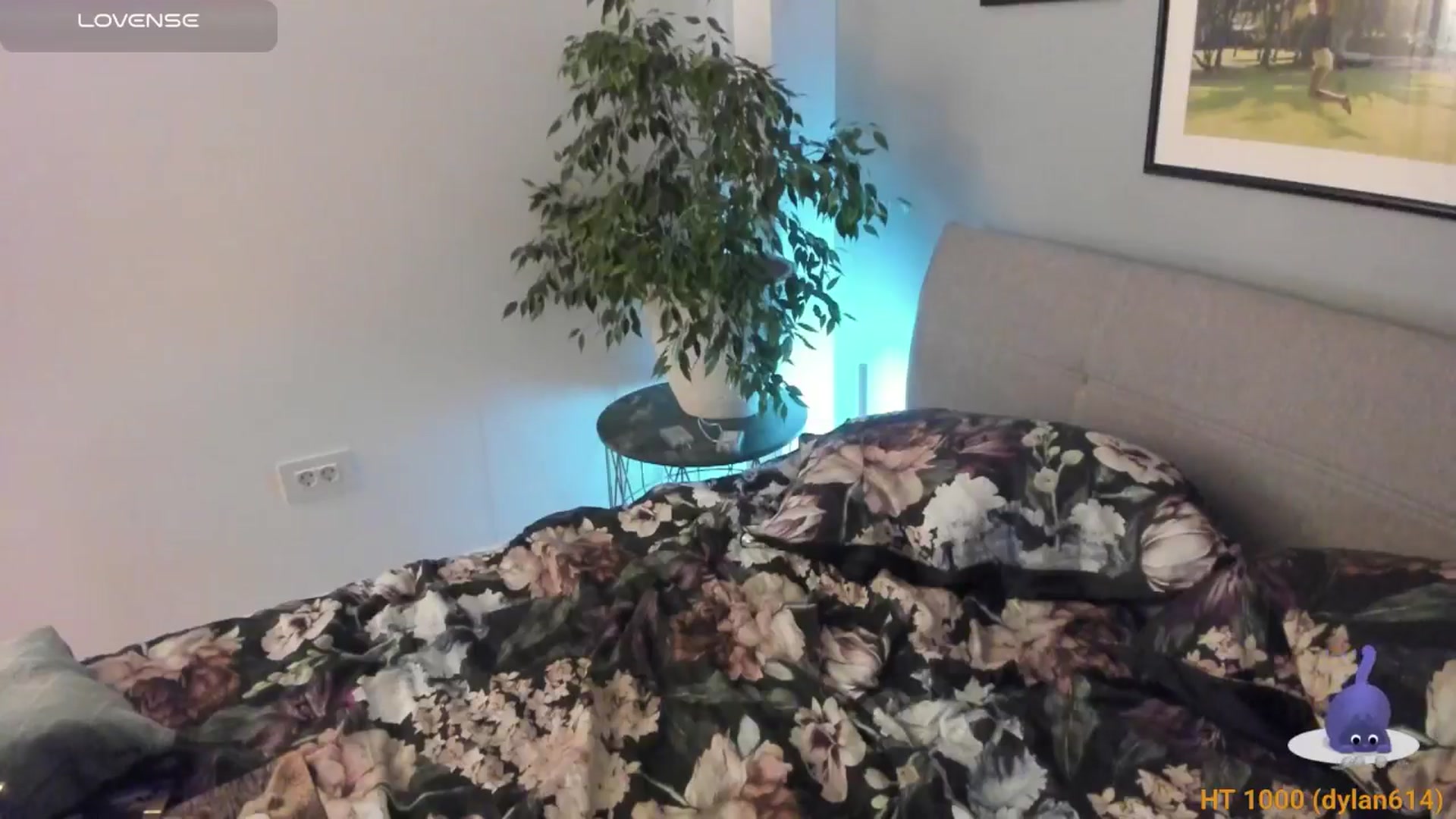 Gallery image thumbnail from happyendings_'s myfreecams stream on, 01/11/2025, 06:26 image 16 of 20
