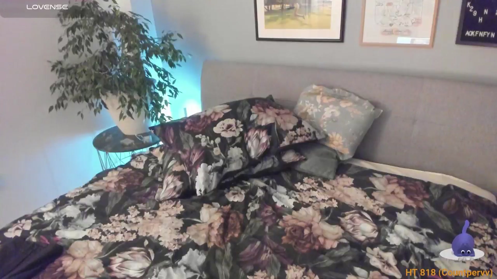 Gallery image thumbnail from happyendings_'s myfreecams stream on, 01/11/2025, 06:26 image 8 of 20
