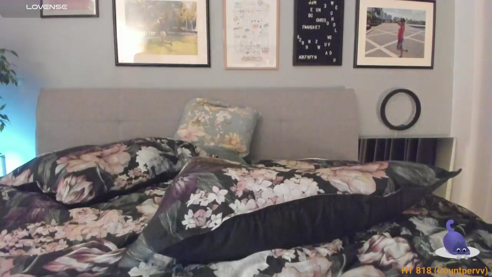 Gallery image thumbnail from happyendings_'s myfreecams stream on, 01/11/2025, 06:26 image 9 of 20