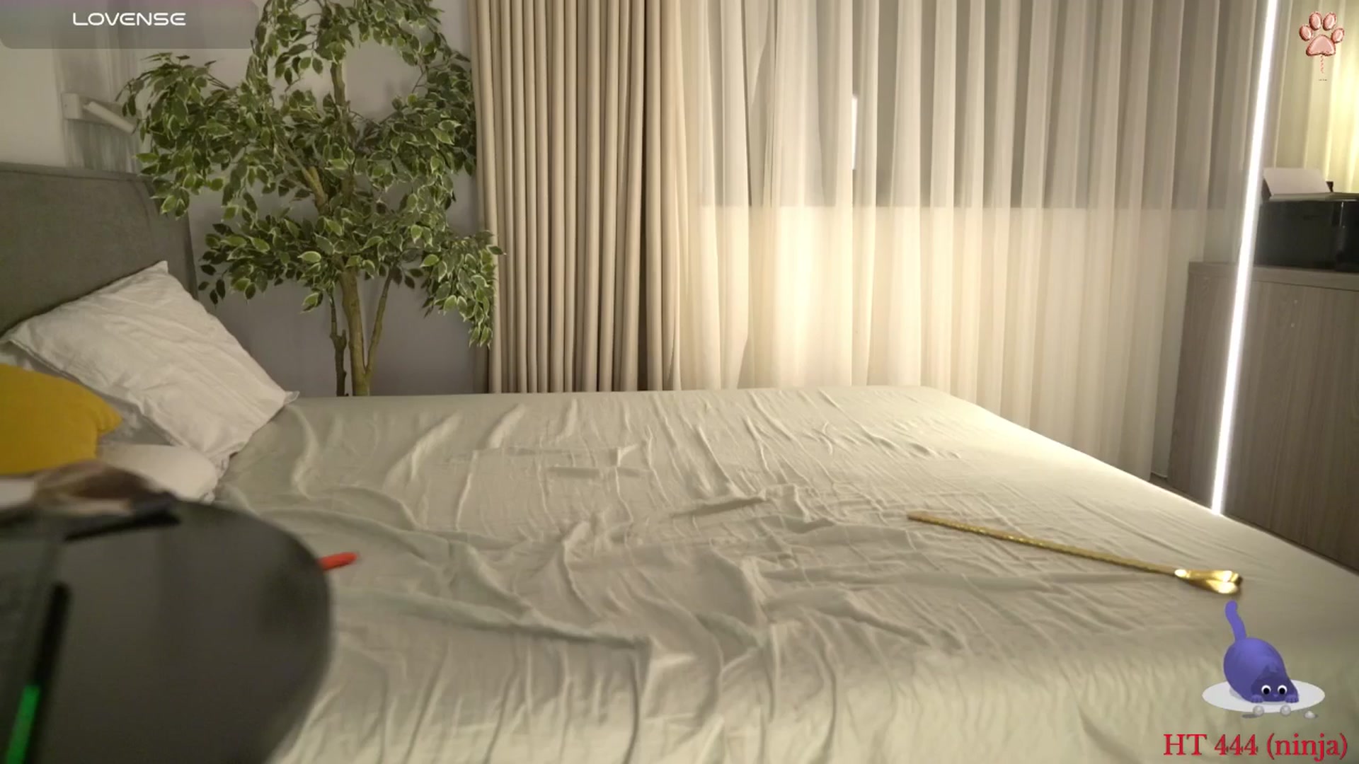 Gallery image thumbnail from happyendings_'s myfreecams stream on, 02/21/2025, 05:57 image 7 of 20