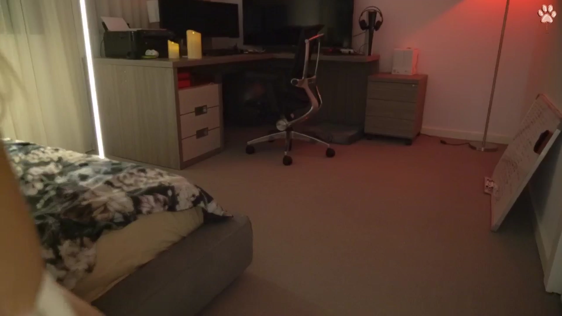 Gallery image thumbnail from happyendings_'s myfreecams stream on, 02/26/2025, 04:51 image 16 of 20