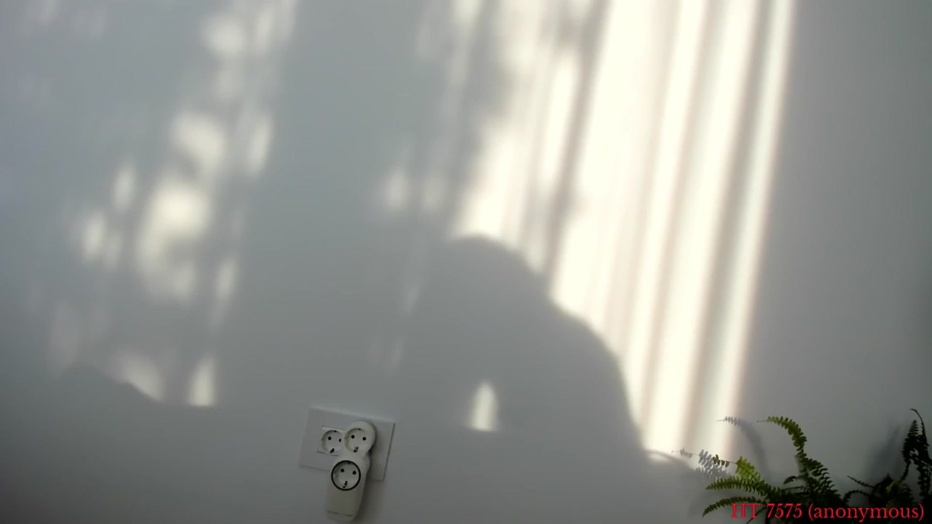 Gallery image thumbnail from happyendings_'s myfreecams stream on, 06/12/2025, 03:50 image 17 of 20