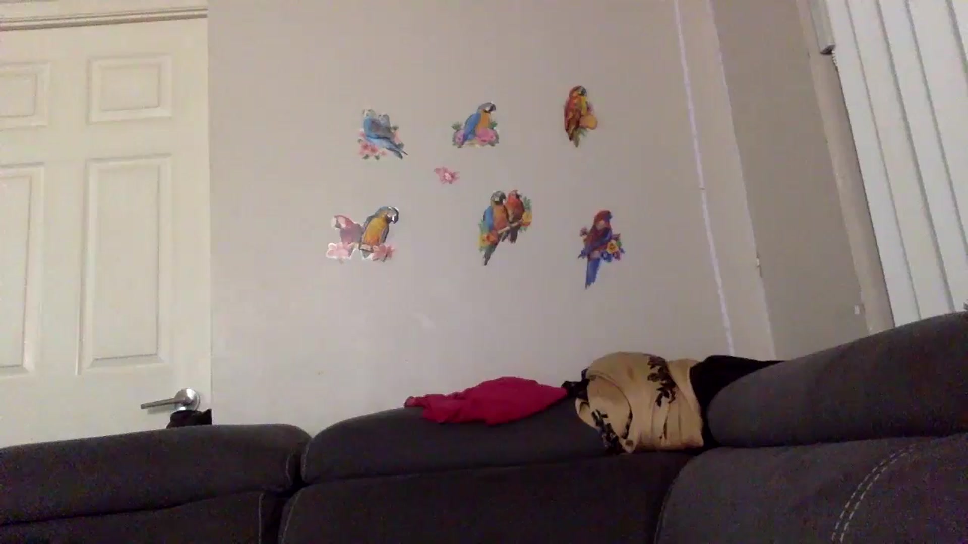 Gallery image thumbnail from happynpretty's myfreecams stream on, 09/06/2024, 08:37 image 4 of 20