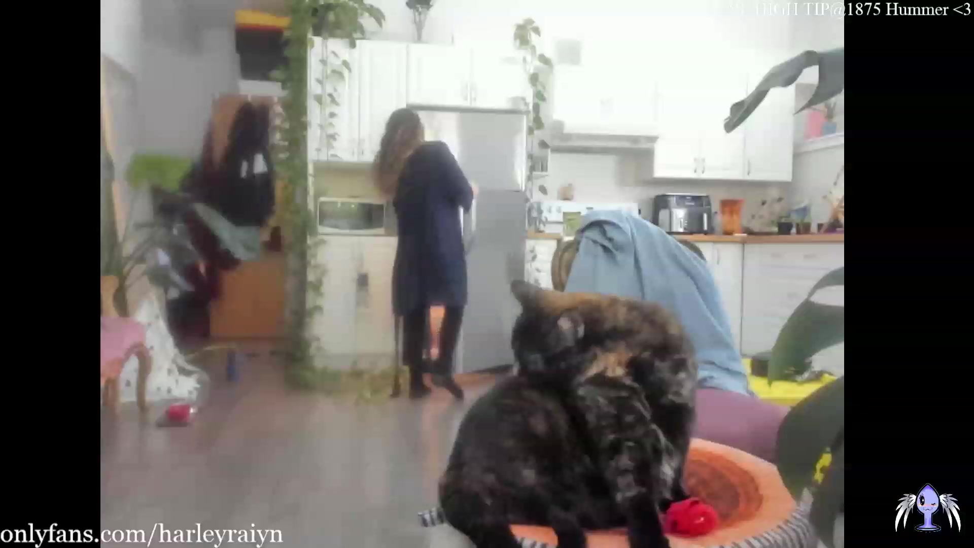 Gallery image thumbnail from harley_raiyn's myfreecams stream on, 06/05/2023, 03:13 image 3 of 20