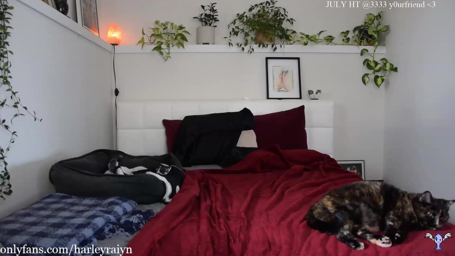 Gallery image thumbnail from harley_raiyn's myfreecams stream on, 07/27/2023, 01:48 image 14 of 20