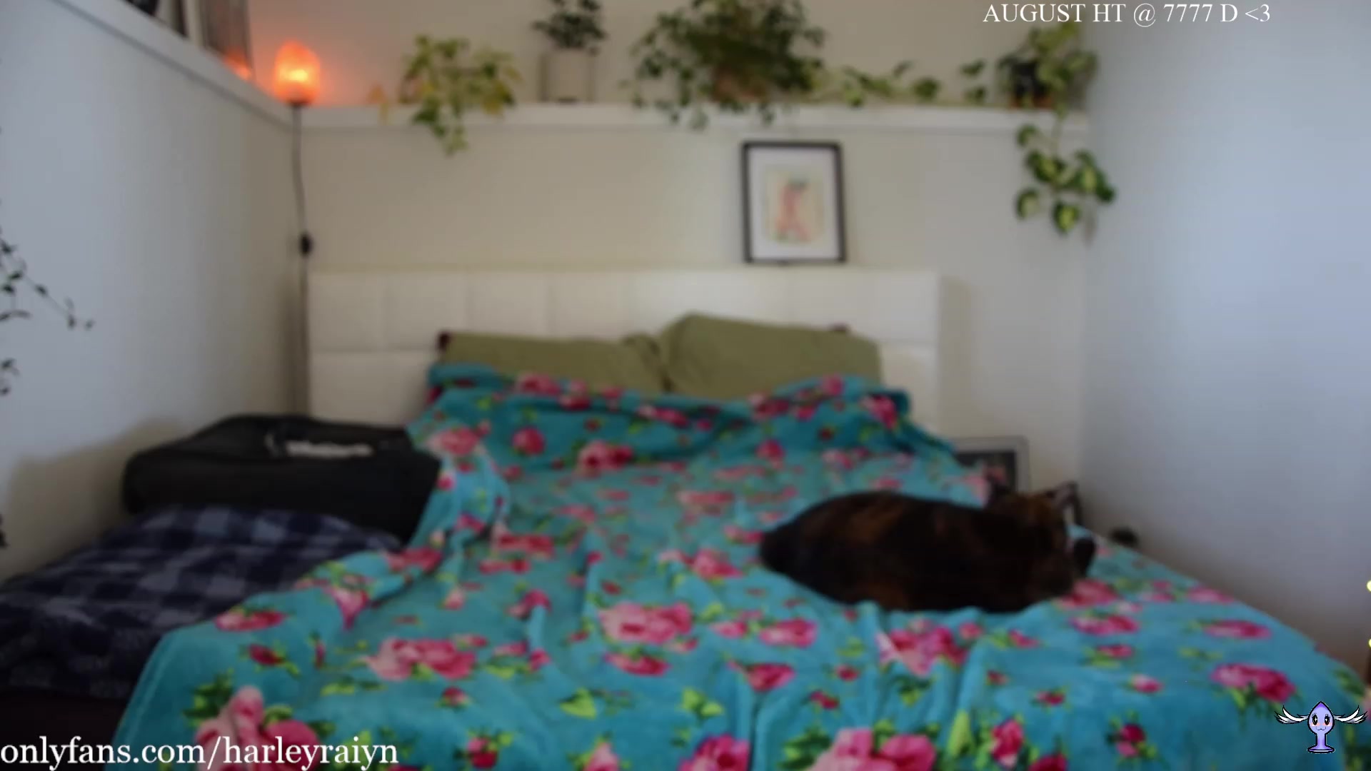 Gallery image thumbnail from harley_raiyn's myfreecams stream on, 08/18/2023, 24:03 image 5 of 20