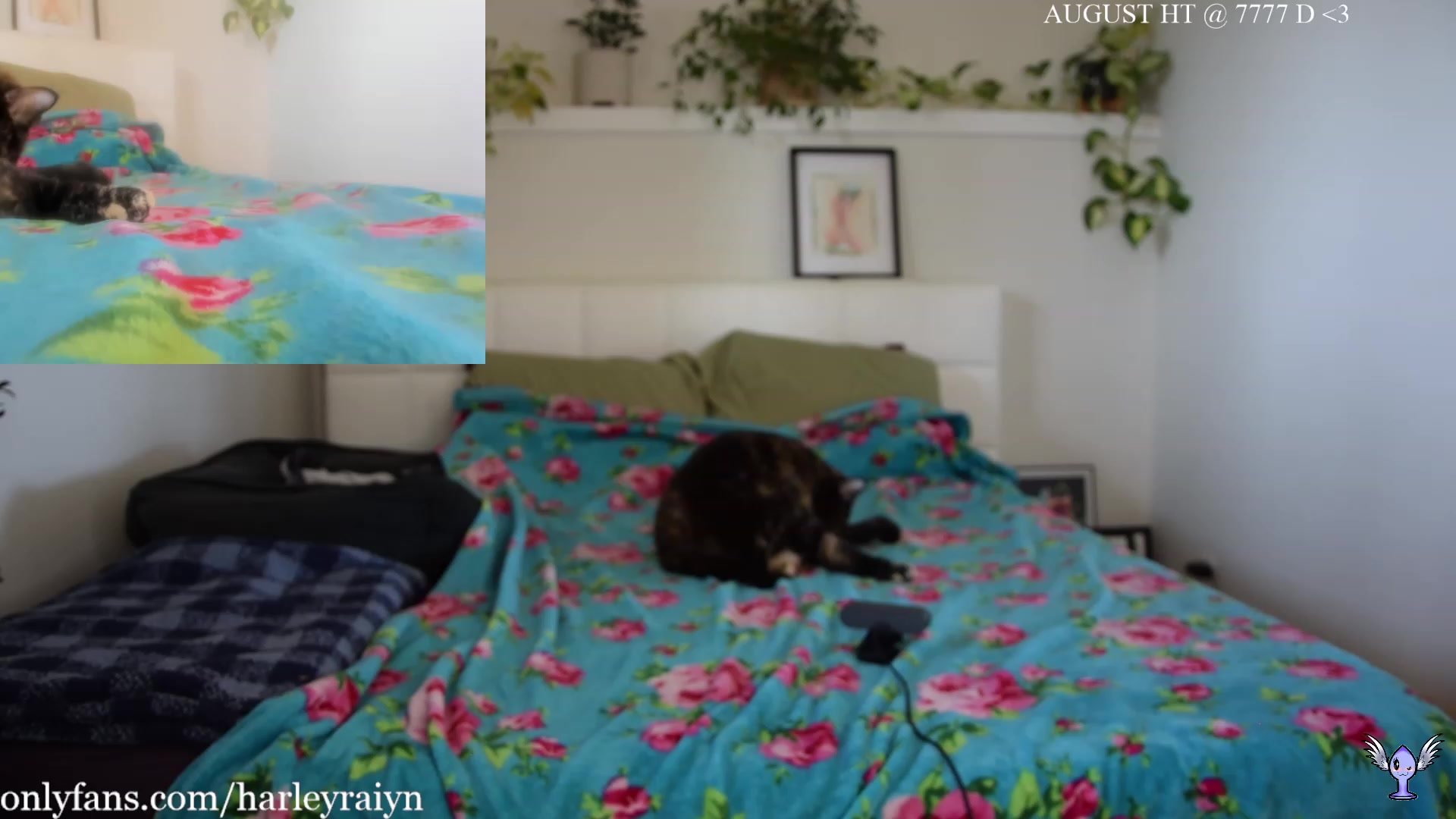 Gallery image thumbnail from harley_raiyn's myfreecams stream on, 08/18/2023, 01:45 image 5 of 20