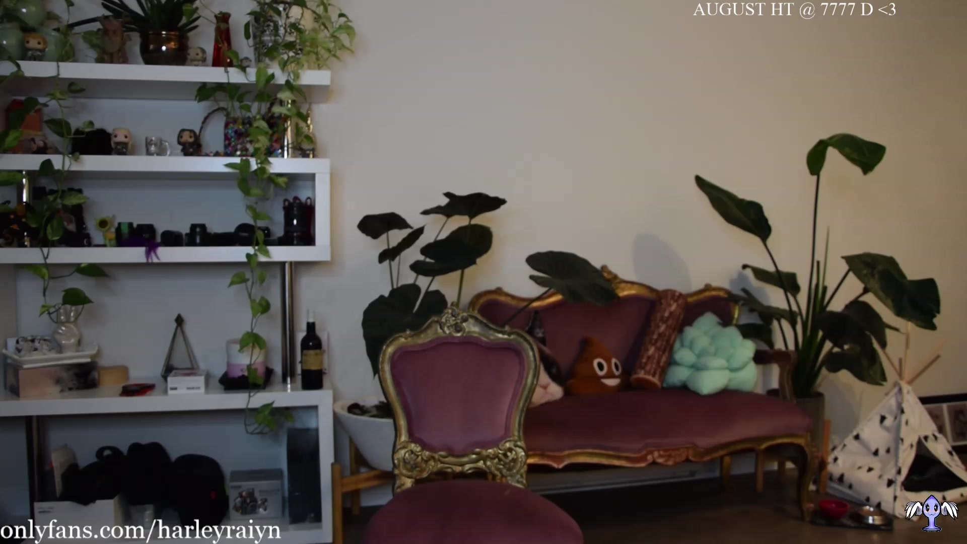 Gallery image thumbnail from harley_raiyn's myfreecams stream on, 08/20/2023, 02:22 image 16 of 20