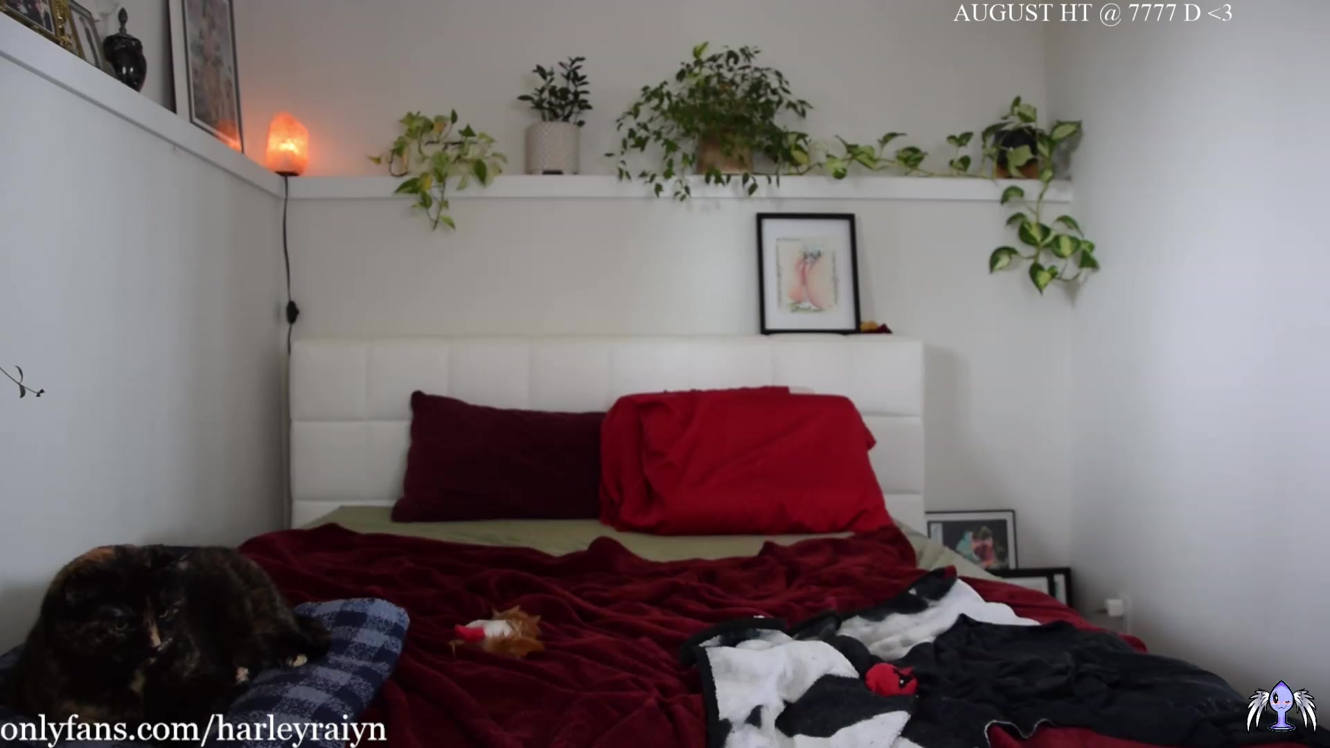 Gallery image thumbnail from harley_raiyn's myfreecams stream on, 08/30/2023, 01:09 image 6 of 20