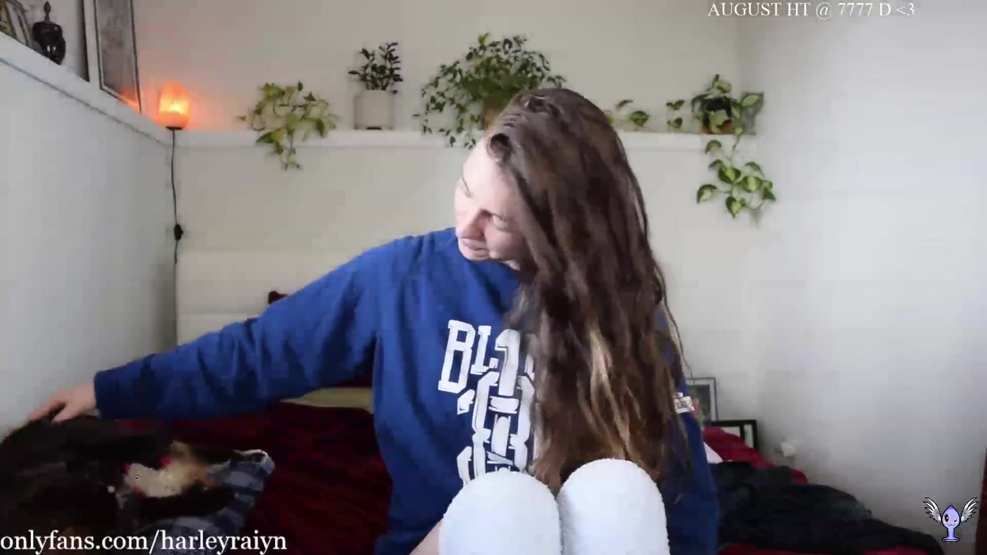 Gallery image thumbnail from harley_raiyn's myfreecams stream on, 08/30/2023, 01:09 image 15 of 20