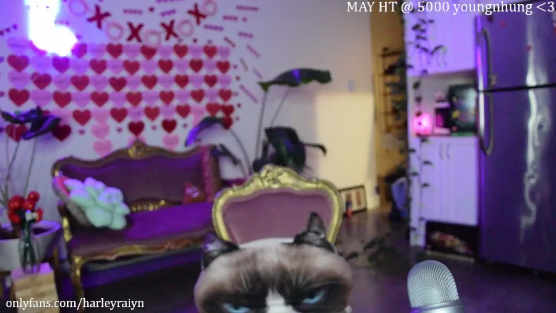 Gallery image thumbnail from harley_raiyn's myfreecams stream on, 05/25/2024, 11:32 image 16 of 20