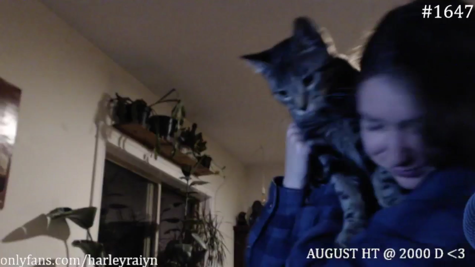 Gallery image thumbnail from harley_raiyn's myfreecams stream on, 08/31/2024, 11:04 image 17 of 20