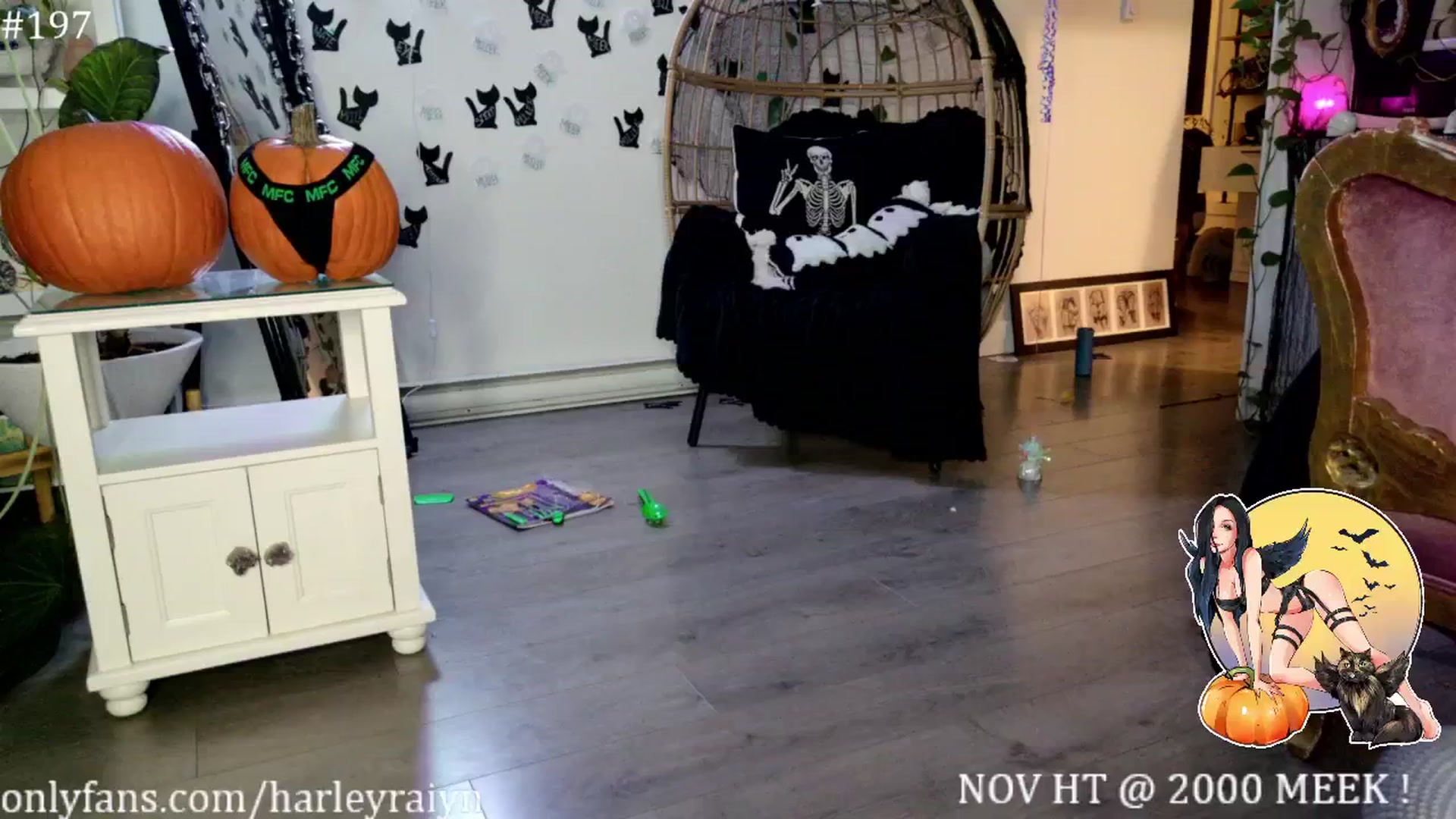 Gallery image thumbnail from harley_raiyn's myfreecams stream on, 11/02/2024, 09:03 image 2 of 20