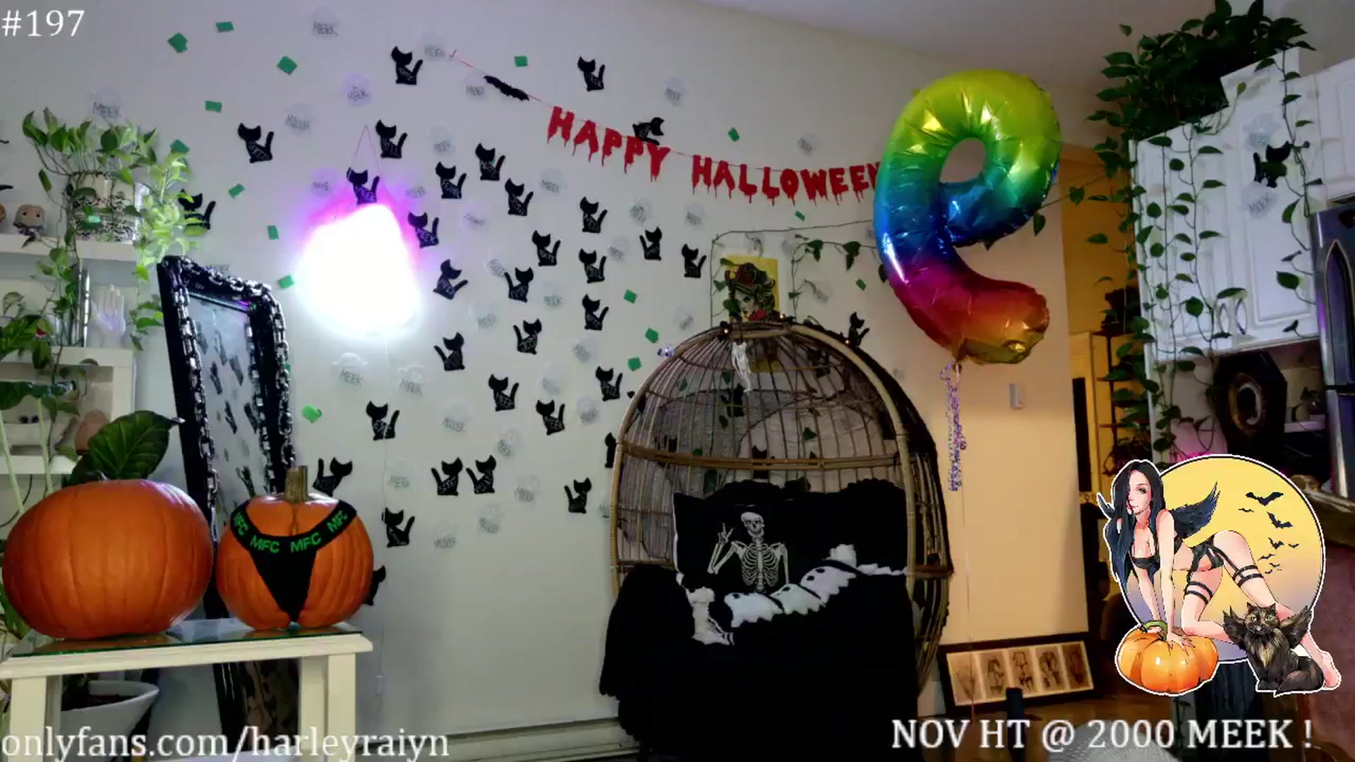 Gallery image thumbnail from harley_raiyn's myfreecams stream on, 11/02/2024, 09:03 image 7 of 20
