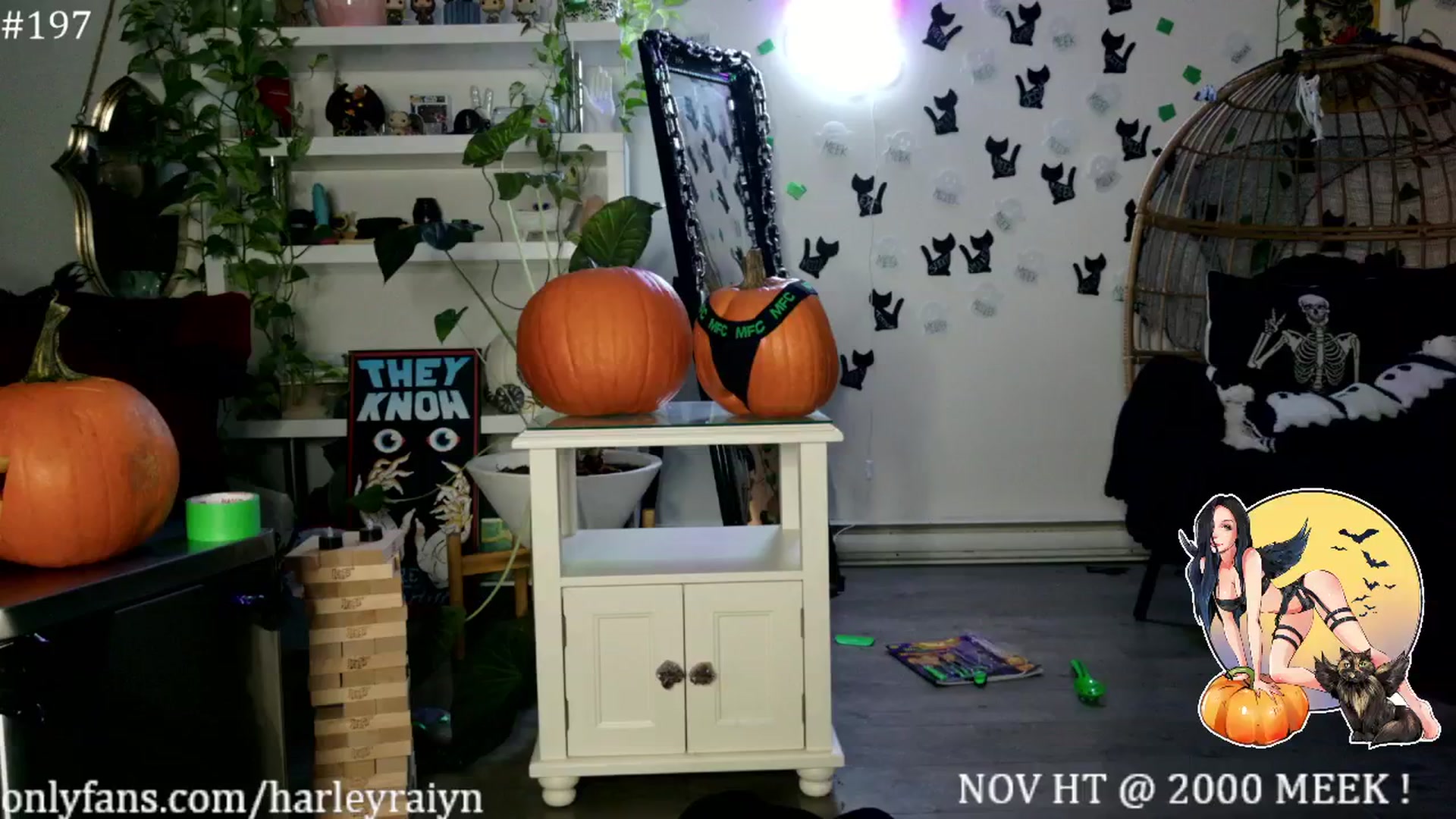 Gallery image thumbnail from harley_raiyn's myfreecams stream on, 11/02/2024, 09:03 image 10 of 20