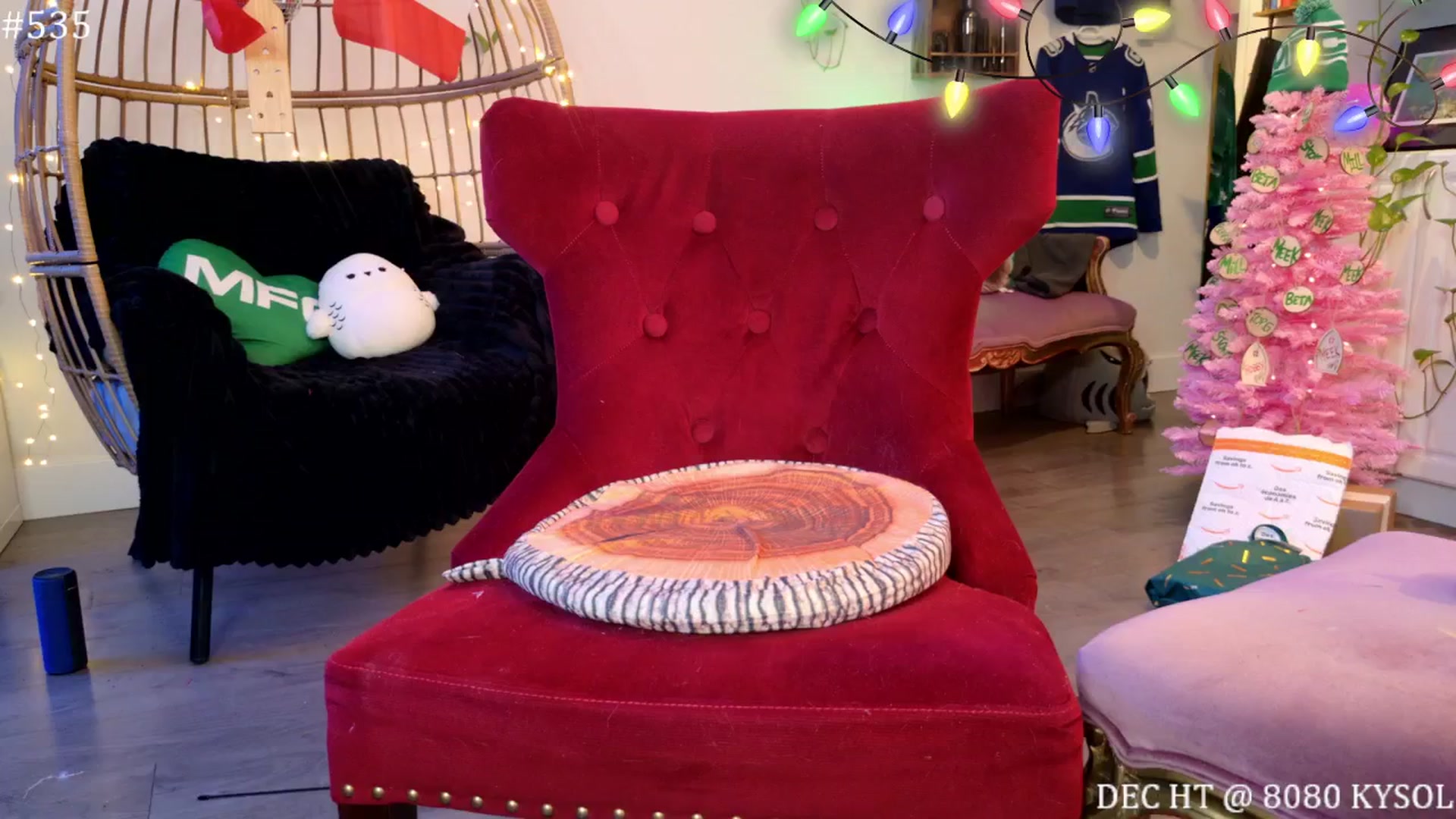 Gallery image thumbnail from harley_raiyn's myfreecams stream on, 12/24/2025, 09:26 image 11 of 20