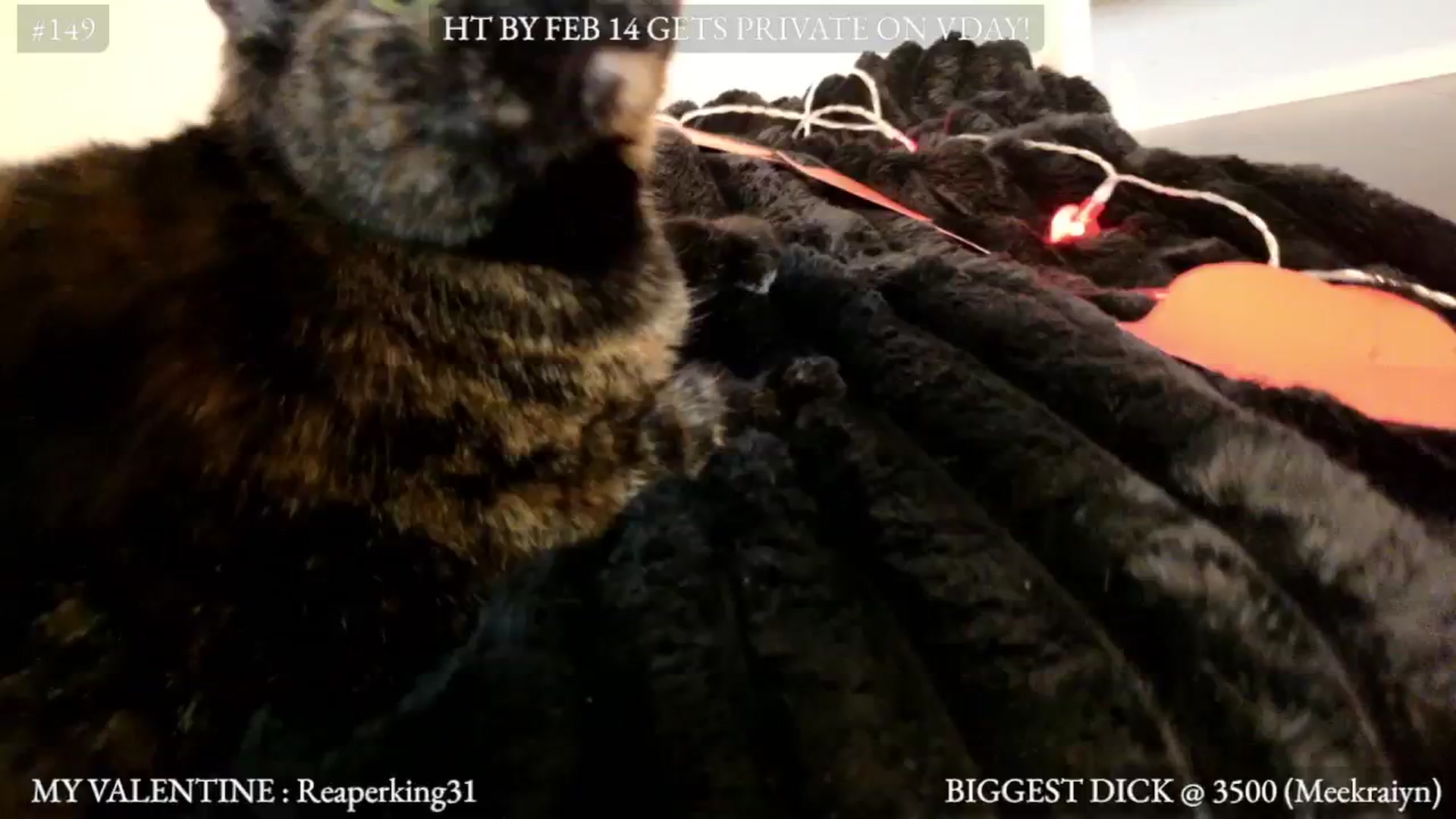 Gallery image thumbnail from harley_raiyn's myfreecams stream on, 02/07/2026, 09:50 image 19 of 20