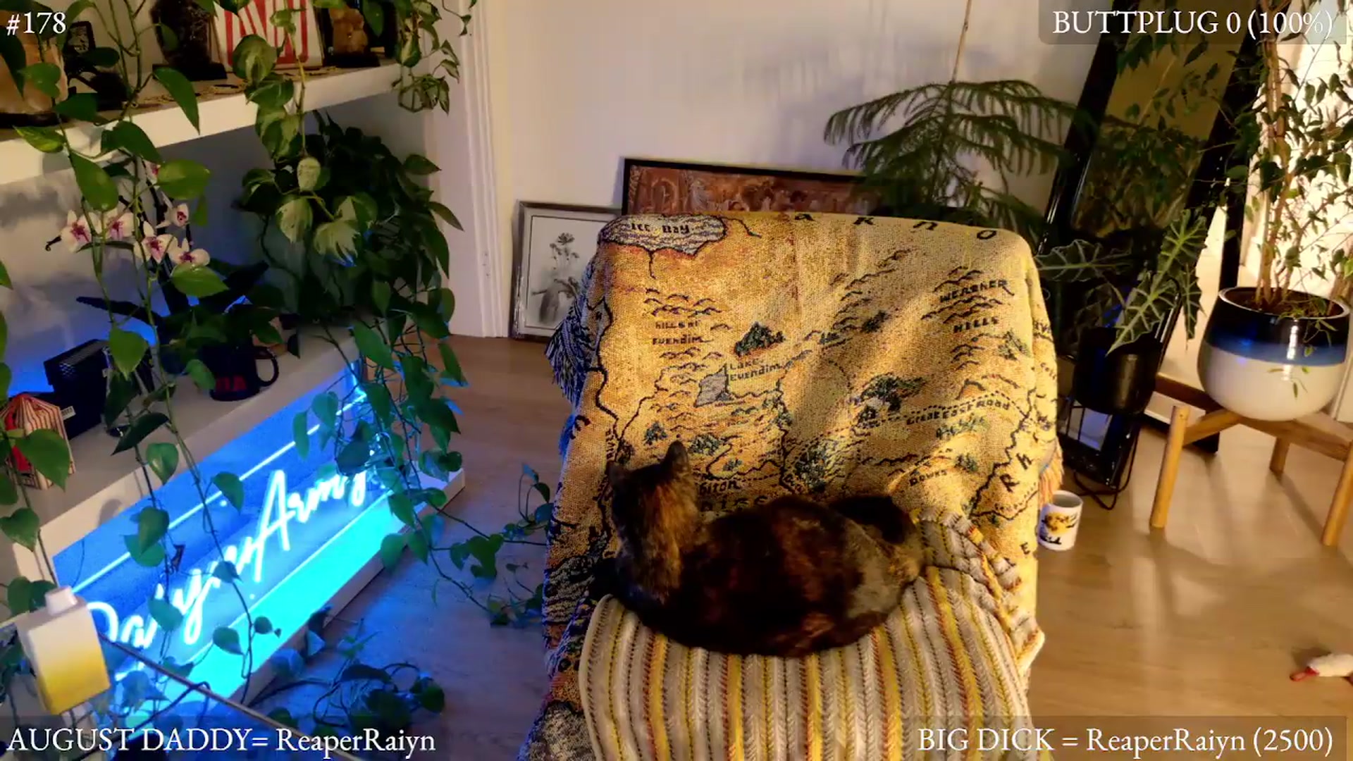 Gallery image thumbnail from harley_raiyn's myfreecams stream on, 08/23/2026, 07:52 image 12 of 20
