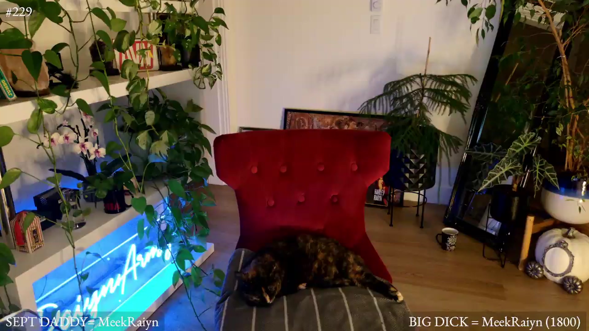 Gallery image thumbnail from harley_raiyn's myfreecams stream on, 09/06/2026, 07:55 image 5 of 20