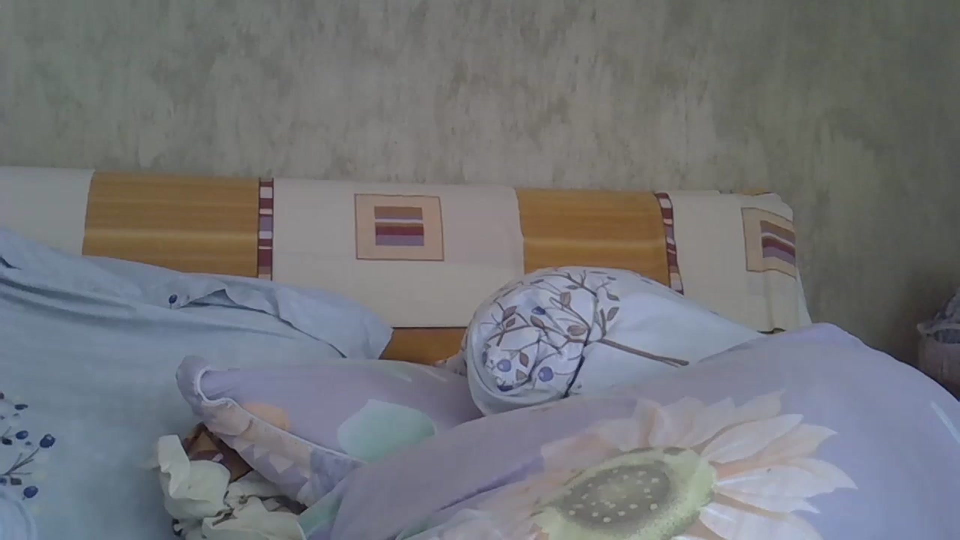Gallery image thumbnail from hayley_london's myfreecams stream on, 05/13/2024, 09:45 image 7 of 20