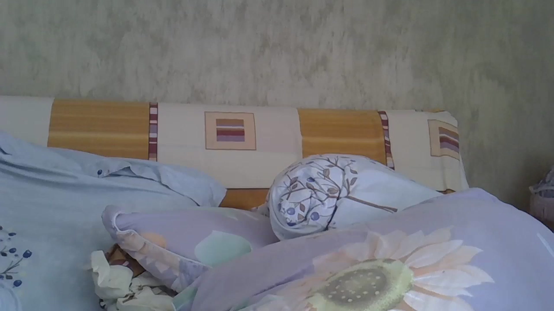 Gallery image thumbnail from hayley_london's myfreecams stream on, 05/13/2024, 09:45 image 6 of 20