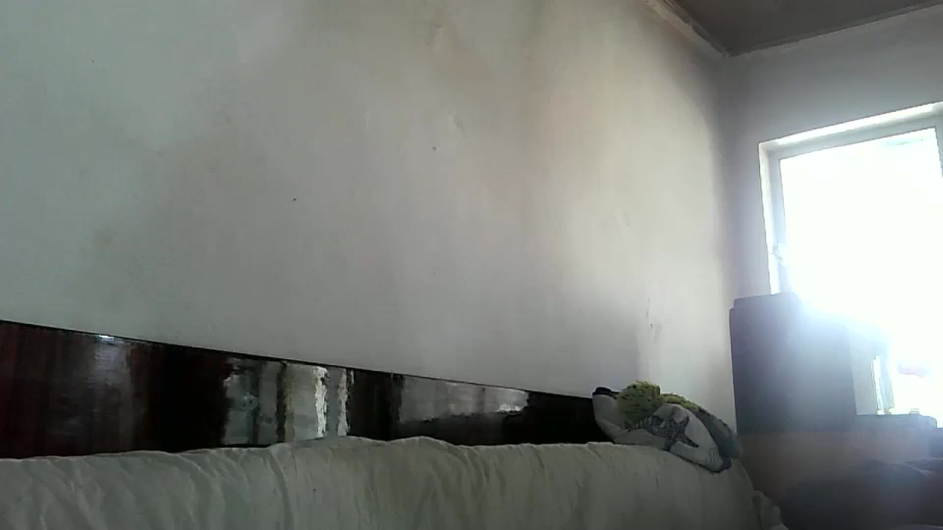 Gallery image thumbnail from hayley_london's myfreecams stream on, 02/12/2026, 10:00 image 3 of 20