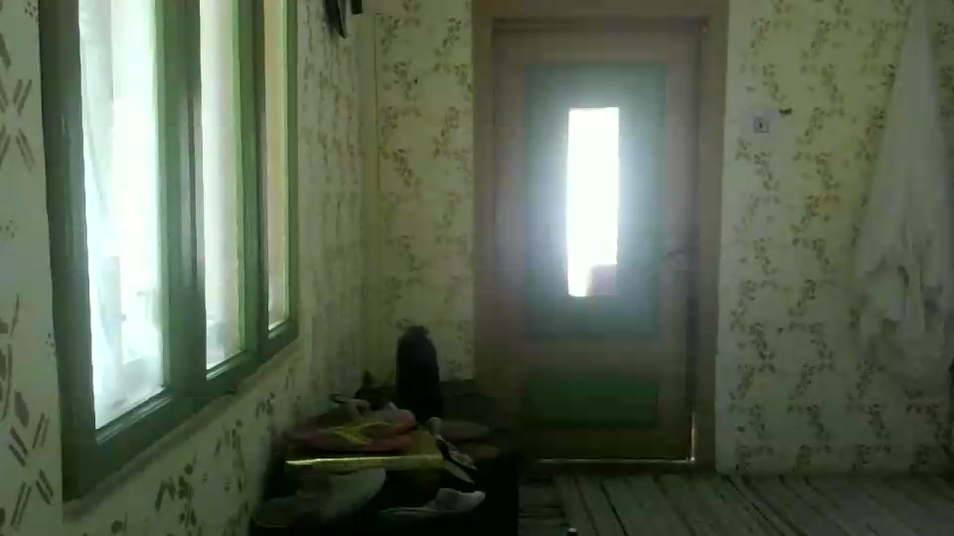 Gallery image thumbnail from hayley_london's myfreecams stream on, 05/14/2026, 10:24 image 12 of 20