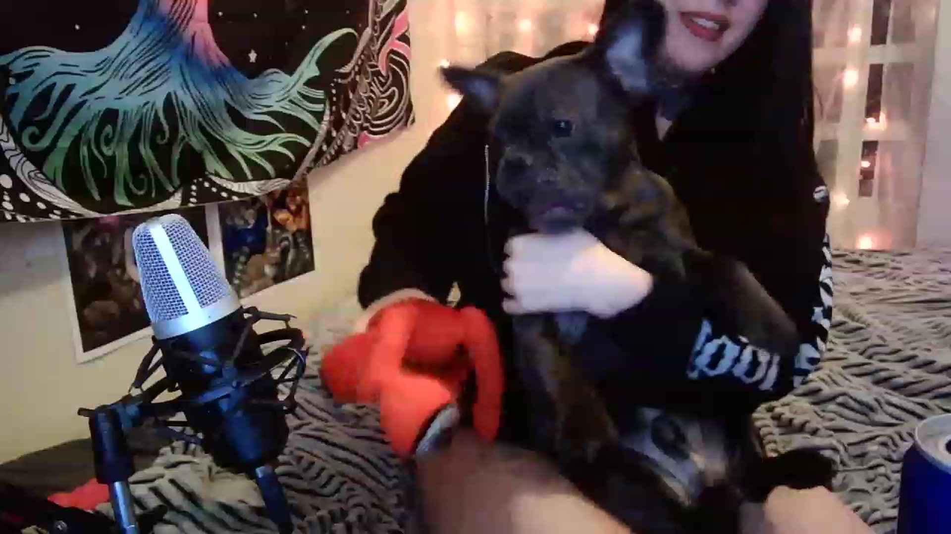 Gallery image thumbnail from hazelxxxoo's myfreecams stream on, 02/17/2023, 08:44 image 10 of 20