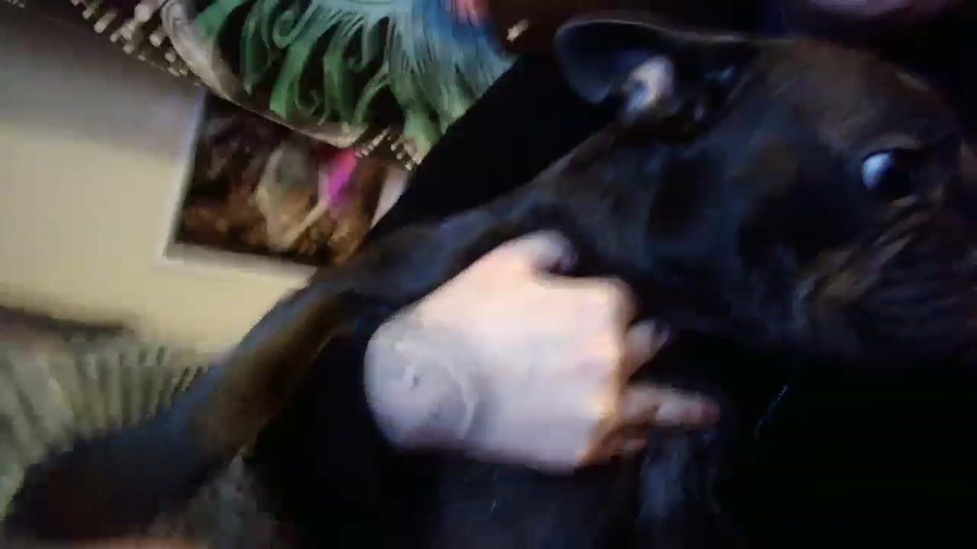 Gallery image thumbnail from hazelxxxoo's myfreecams stream on, 02/17/2023, 08:44 image 8 of 20