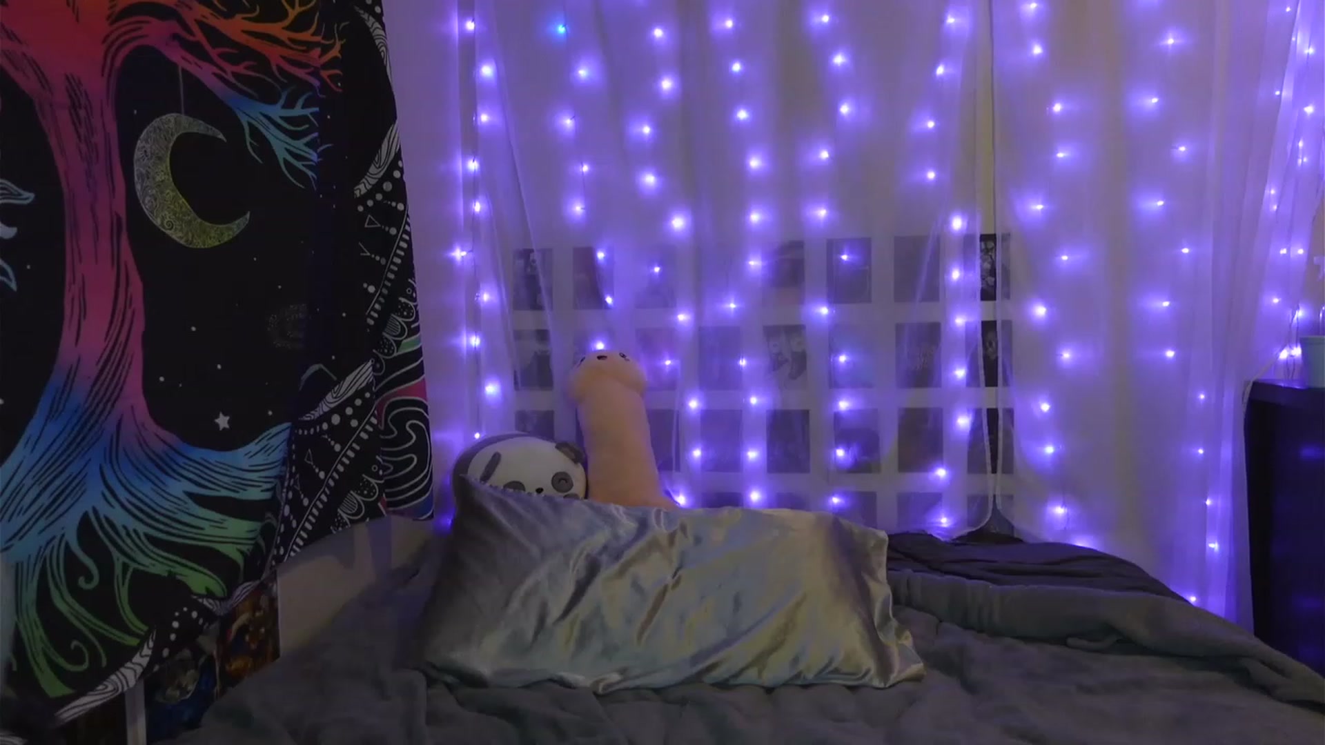 Gallery image thumbnail from hazelxxxoo's myfreecams stream on, 03/08/2023, 02:25 image 16 of 20