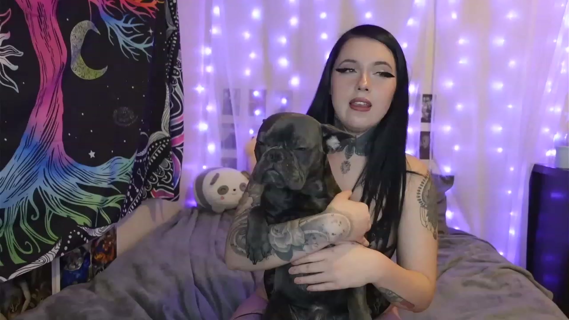 Gallery image thumbnail from hazelxxxoo's myfreecams stream on, 03/08/2023, 09:09 image 1 of 20