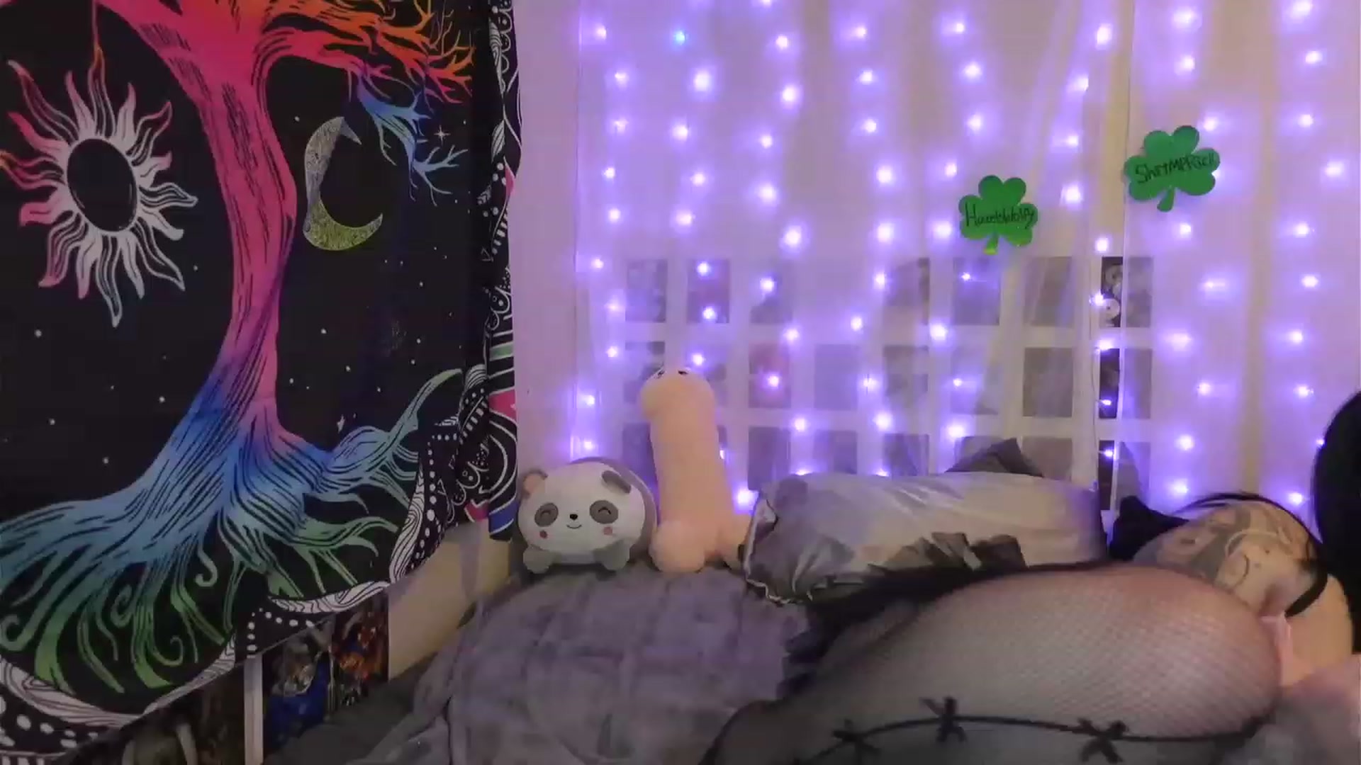 Gallery image thumbnail from hazelxxxoo's myfreecams stream on, 03/11/2023, 08:17 image 15 of 20