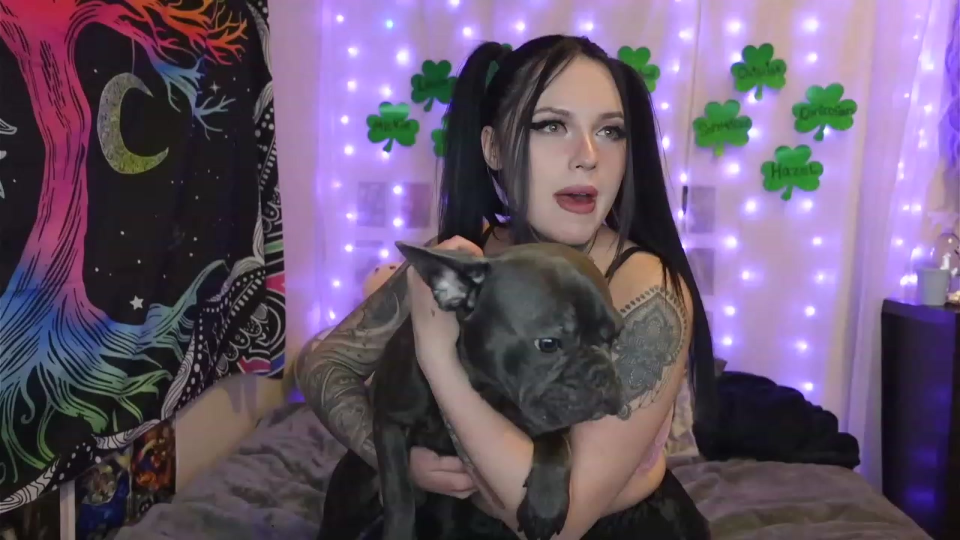 Gallery image thumbnail from hazelxxxoo's myfreecams stream on, 03/11/2023, 13:22 image 15 of 20
