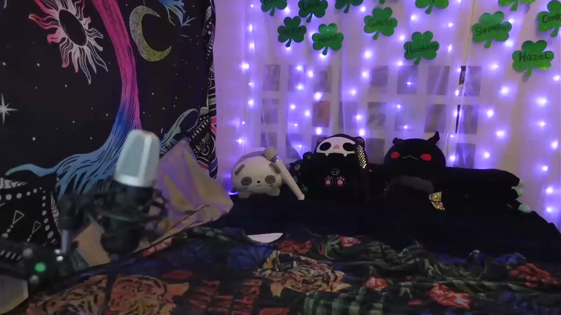 Gallery image thumbnail from hazelxxxoo's myfreecams stream on, 03/24/2023, 07:14 image 13 of 20