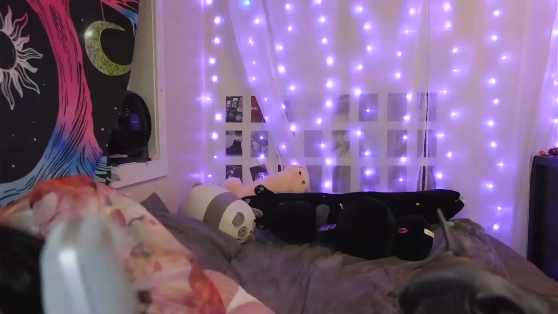 Gallery image thumbnail from hazelxxxoo's myfreecams stream on, 04/08/2023, 09:18 image 3 of 20