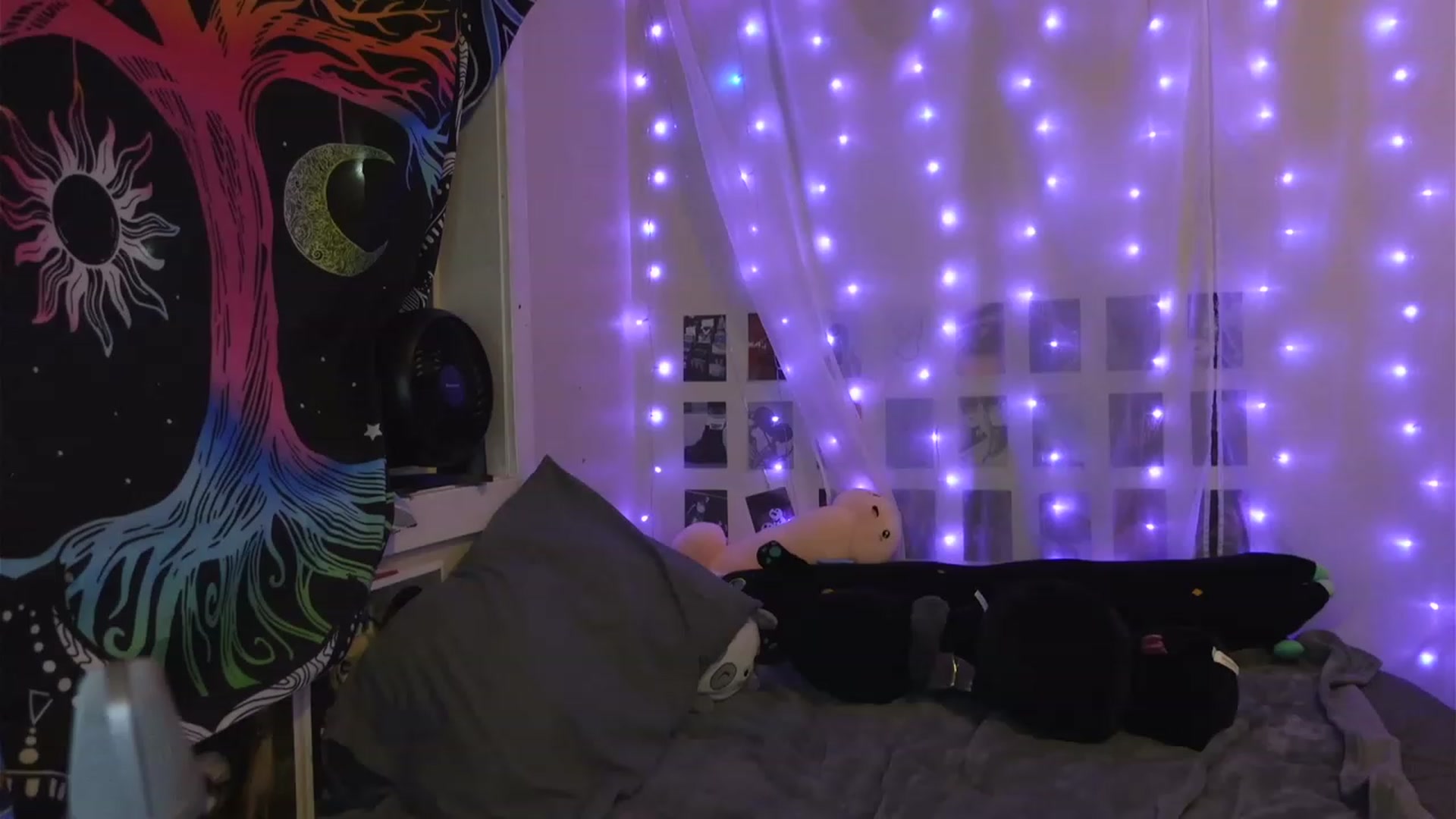 Gallery image thumbnail from hazelxxxoo's myfreecams stream on, 04/08/2023, 09:18 image 19 of 20
