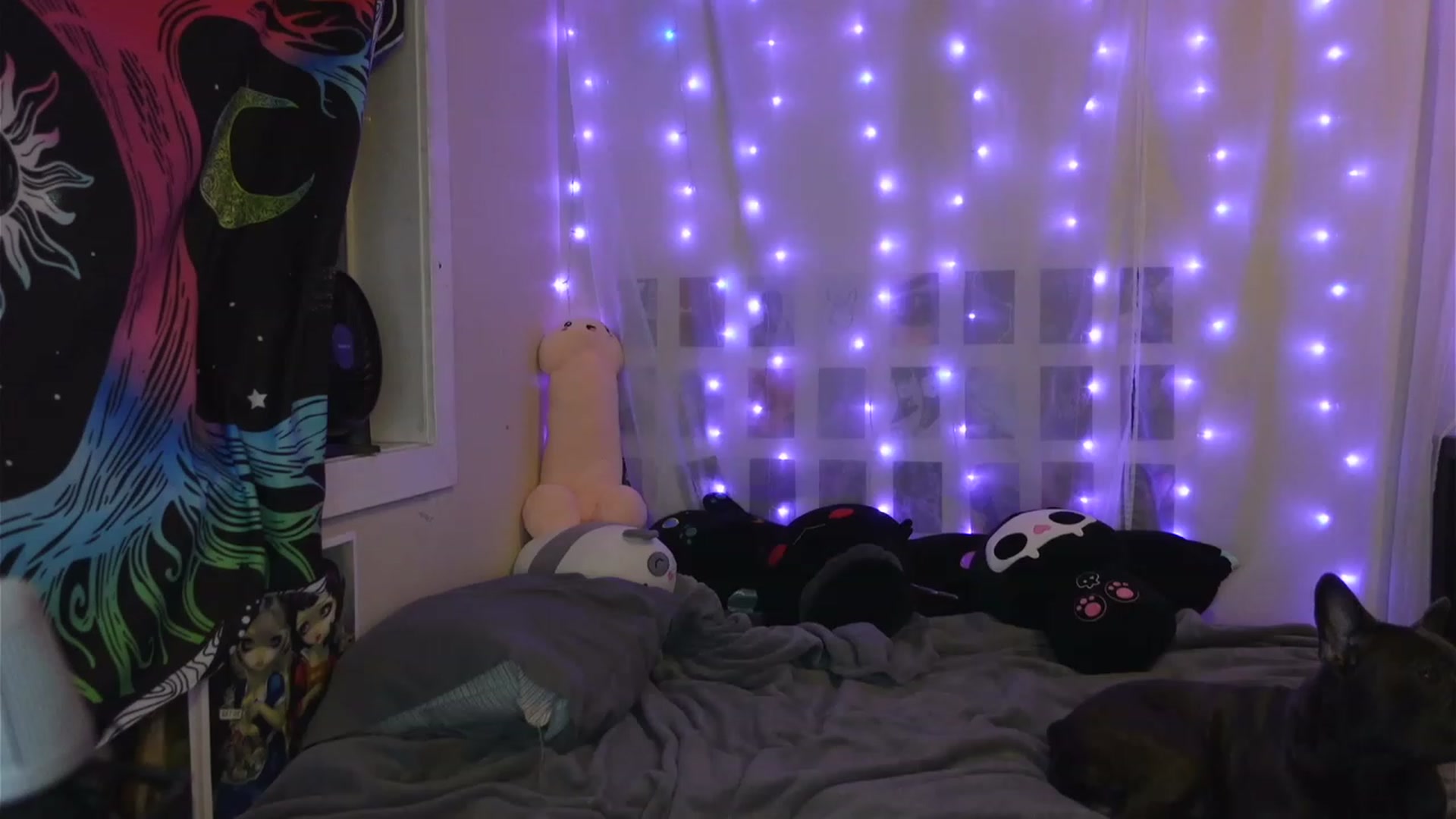 Gallery image thumbnail from hazelxxxoo's myfreecams stream on, 04/10/2023, 04:23 image 14 of 20