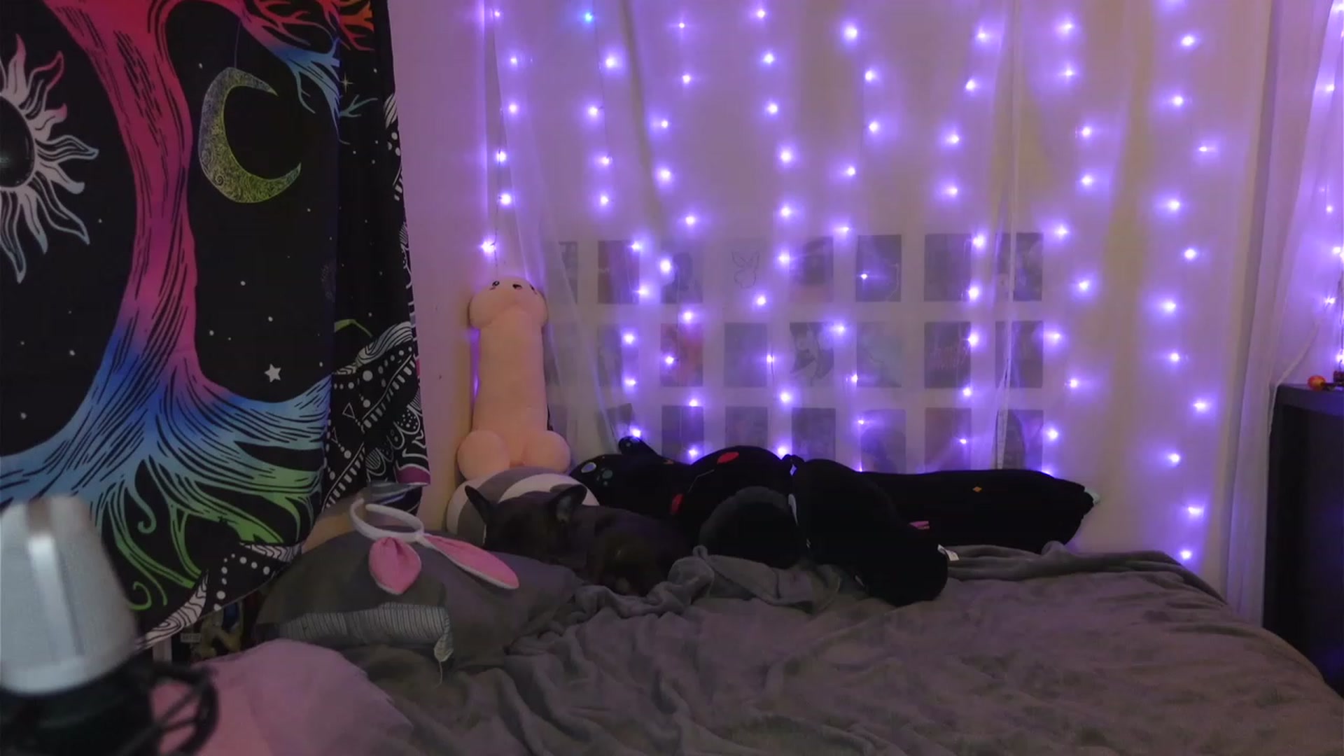 Gallery image thumbnail from hazelxxxoo's myfreecams stream on, 04/10/2023, 06:10 image 19 of 20