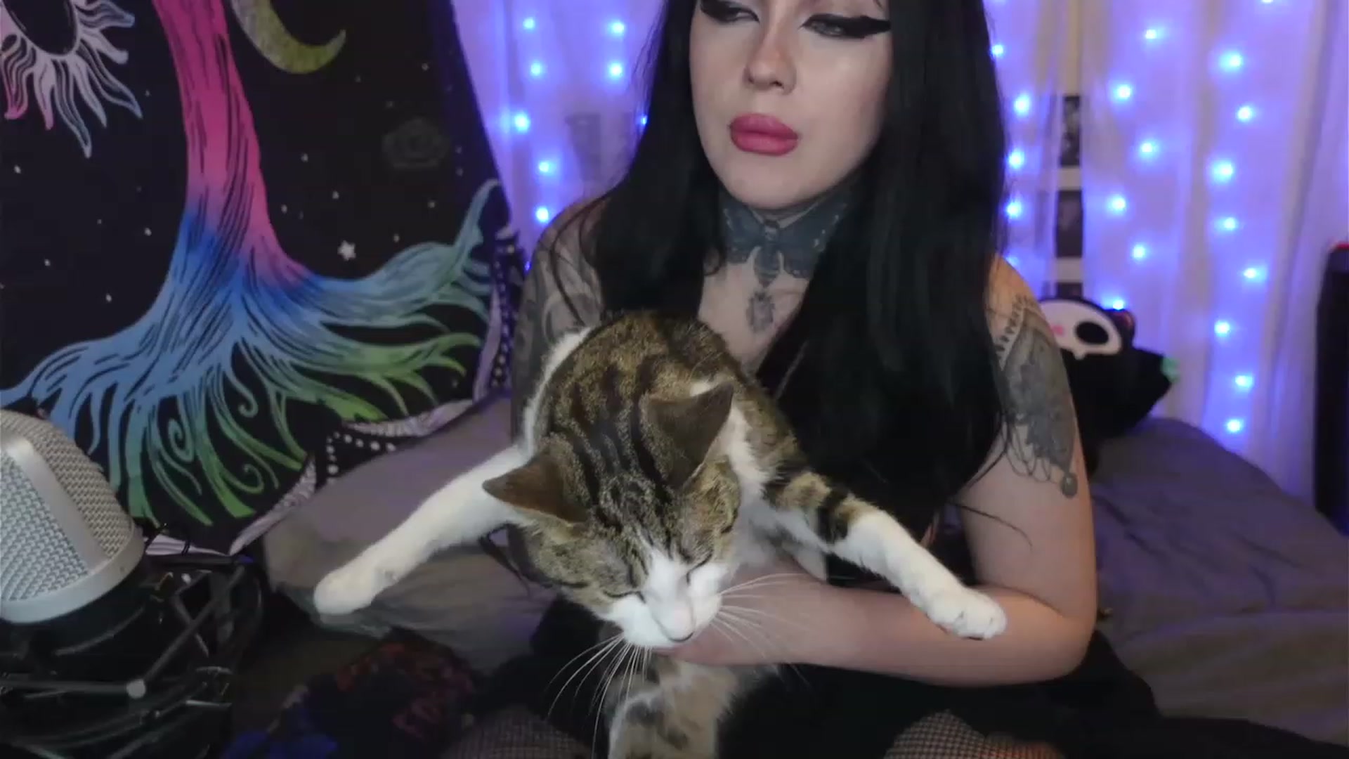 Gallery image thumbnail from hazelxxxoo's myfreecams stream on, 04/15/2023, 09:12 image 11 of 20