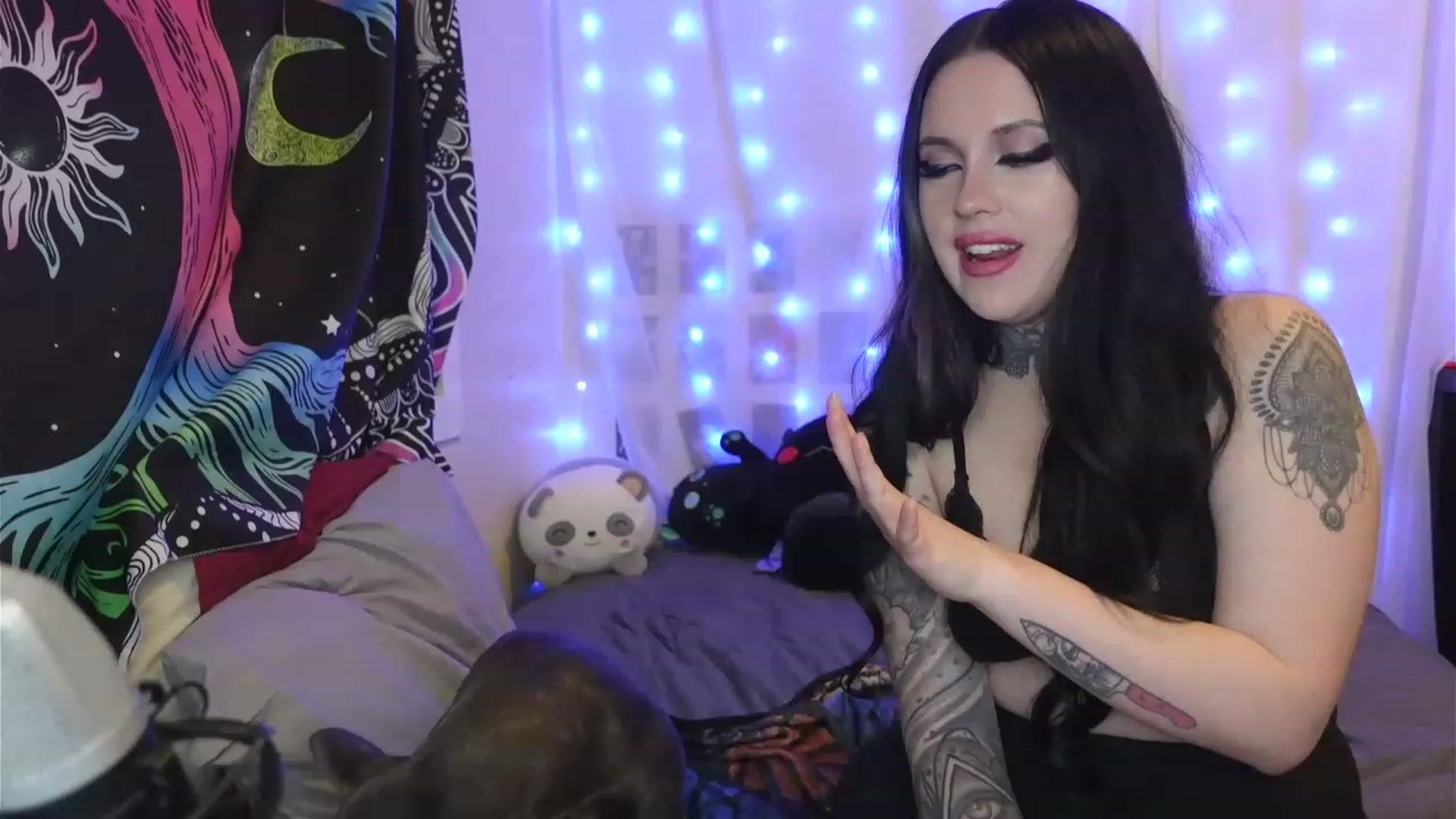 Gallery image thumbnail from hazelxxxoo's myfreecams stream on, 04/15/2023, 09:12 image 15 of 20