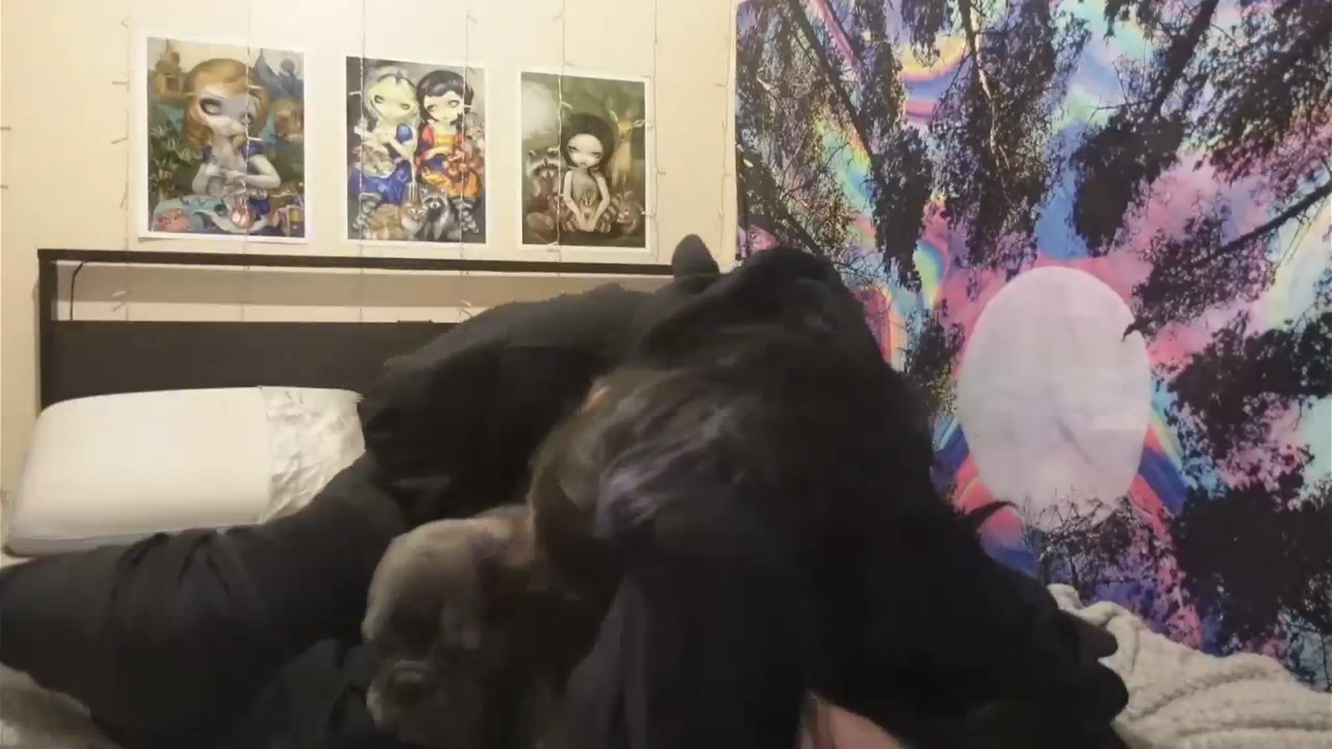 Gallery image thumbnail from hazelxxxoo's myfreecams stream on, 01/14/2024, 11:29 image 6 of 20