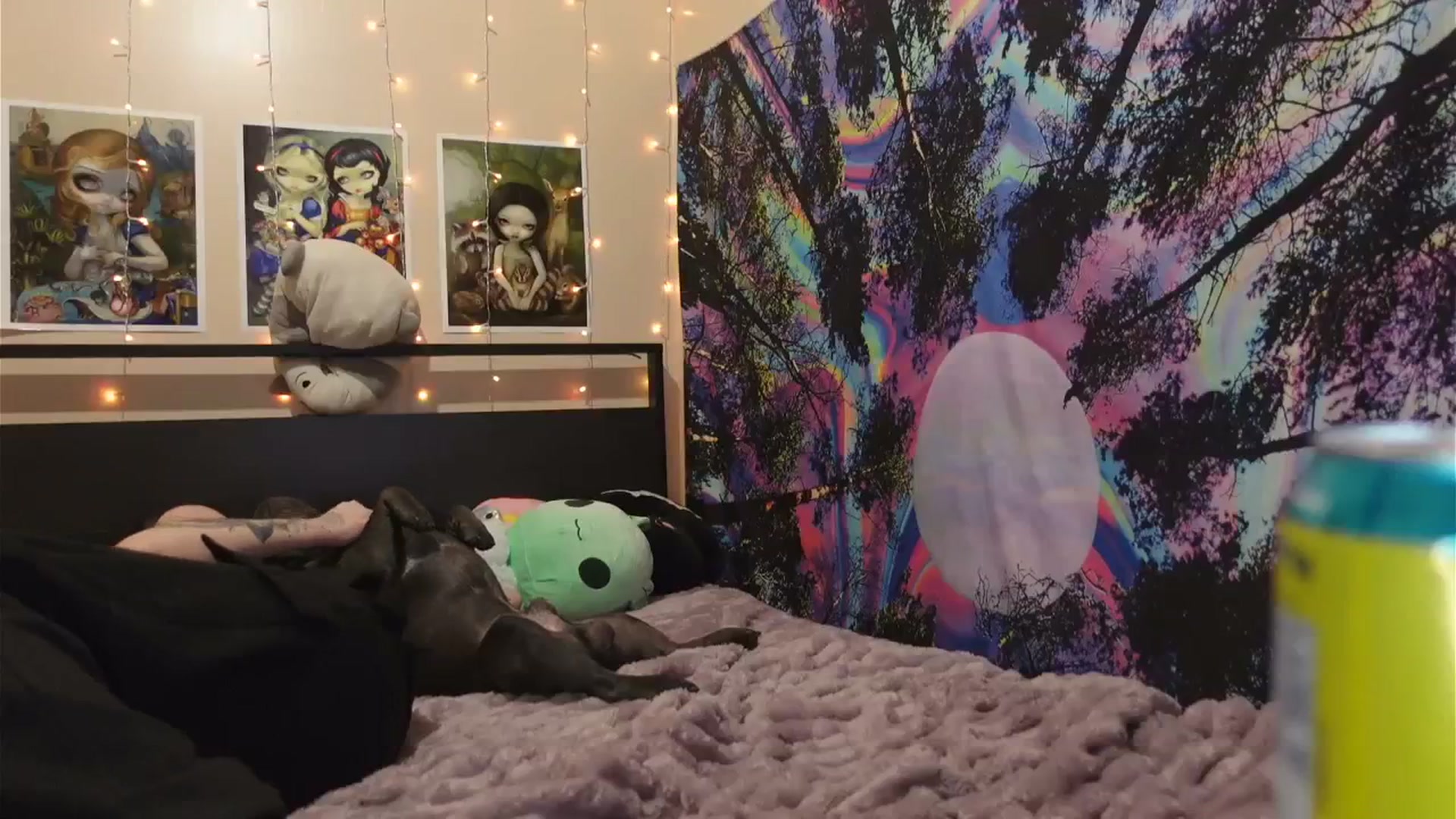 Gallery image thumbnail from hazelxxxoo's myfreecams stream on, 03/05/2024, 09:44 image 11 of 20