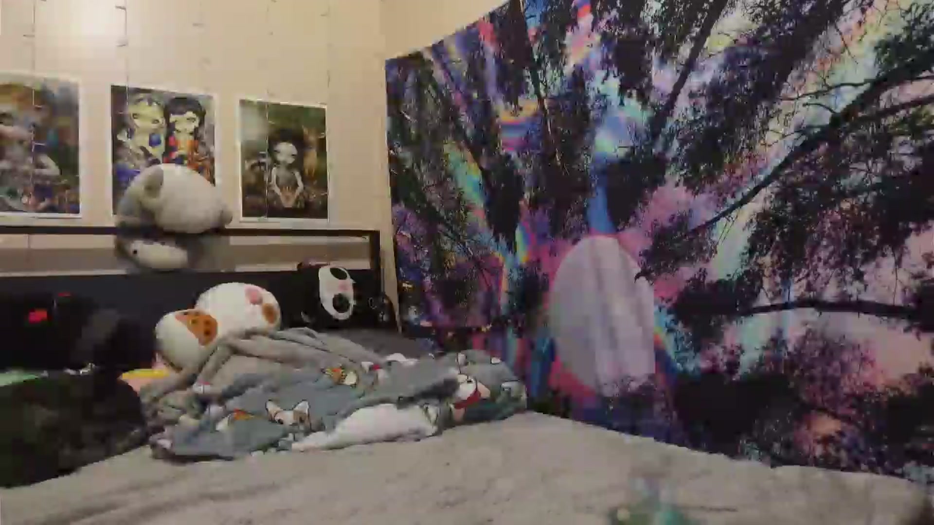 Gallery image thumbnail from hazelxxxoo's myfreecams stream on, 05/23/2024, 06:44 image 11 of 20