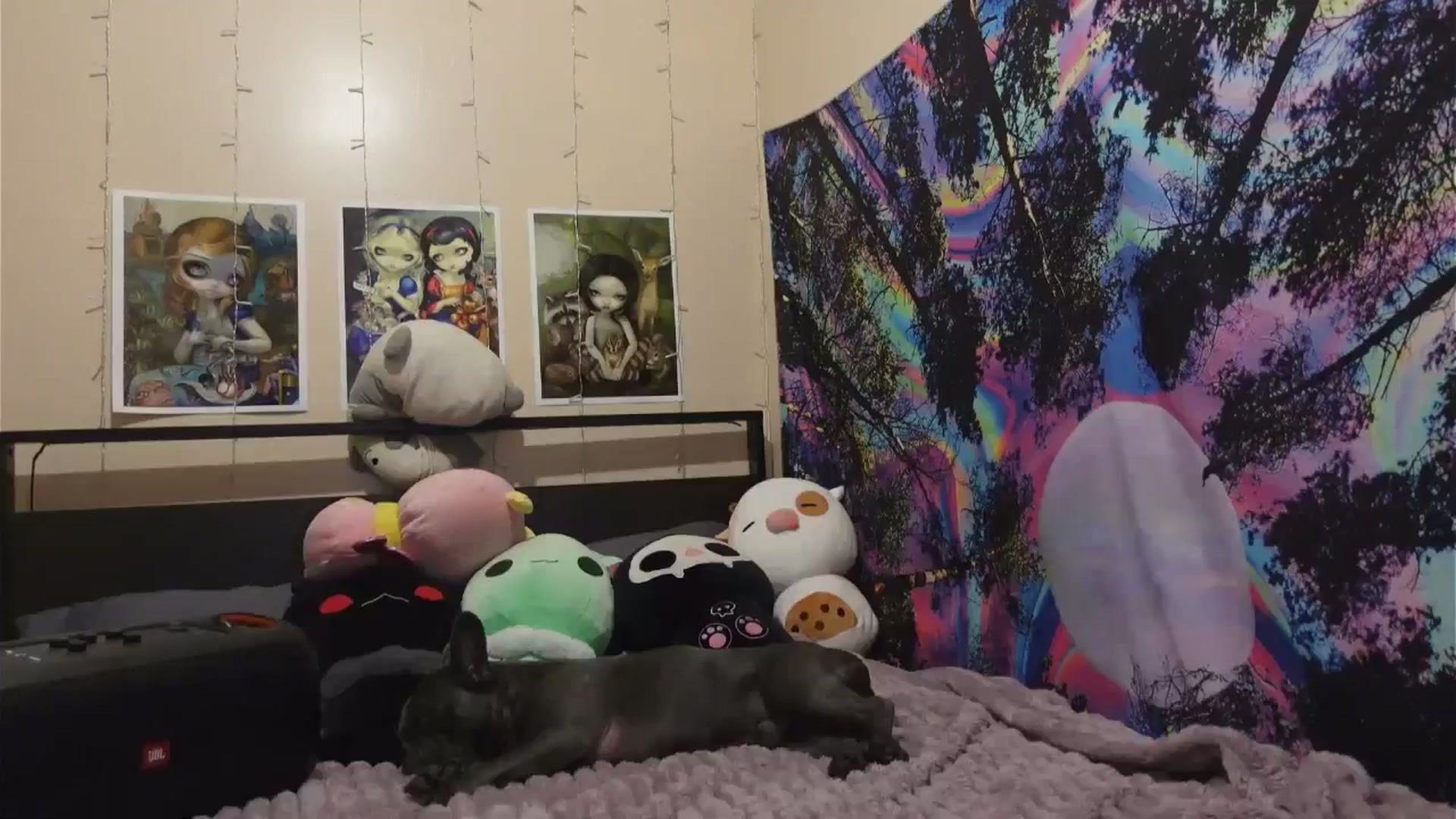 Gallery image thumbnail from hazelxxxoo's myfreecams stream on, 06/01/2024, 02:44 image 17 of 20