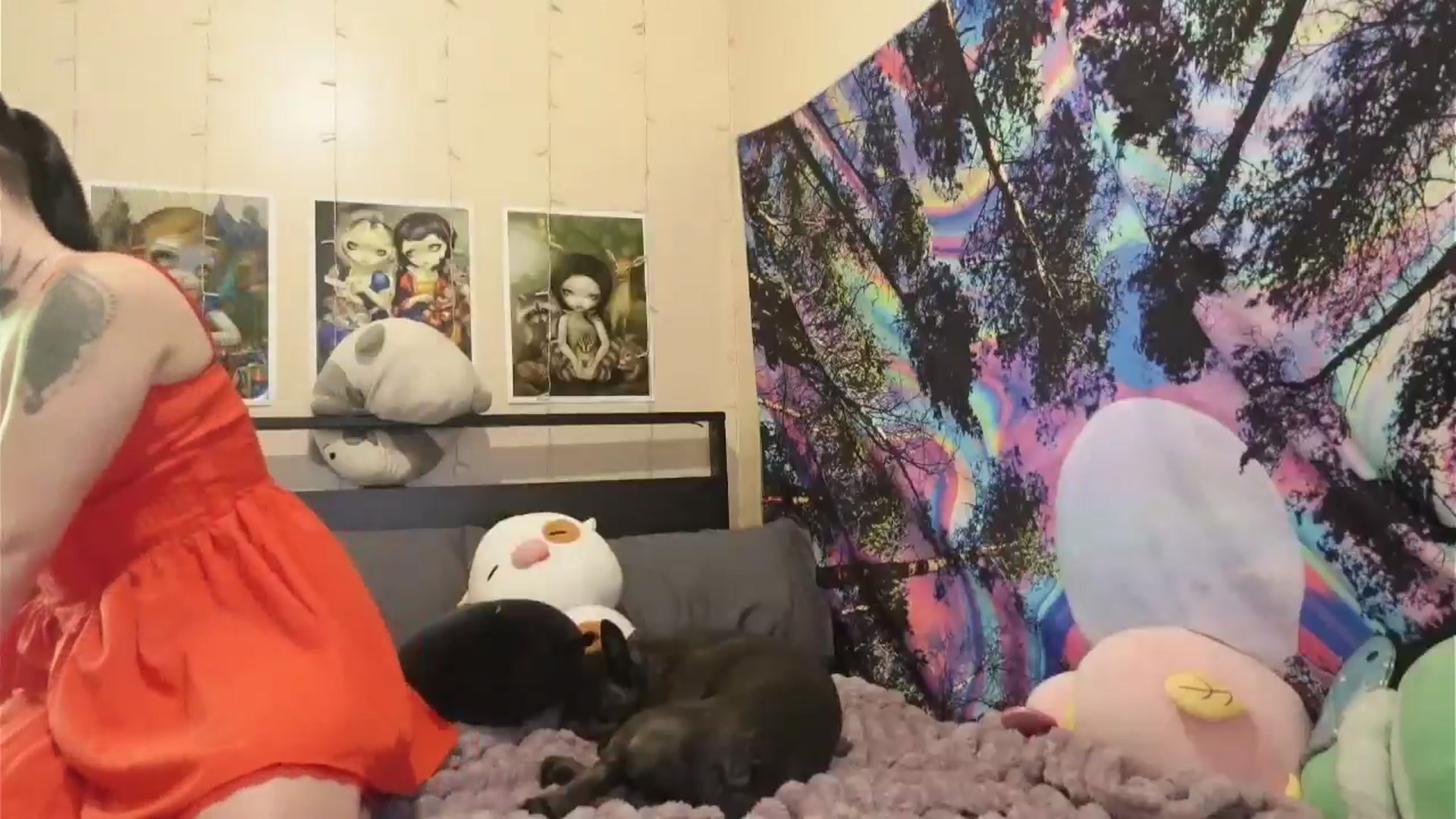Gallery image thumbnail from hazelxxxoo's myfreecams stream on, 06/03/2024, 17:16 image 3 of 20