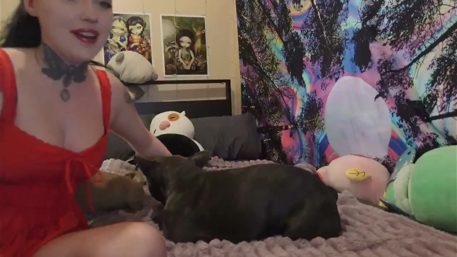 Gallery image thumbnail from hazelxxxoo's myfreecams stream on, 06/03/2024, 19:15 image 16 of 20